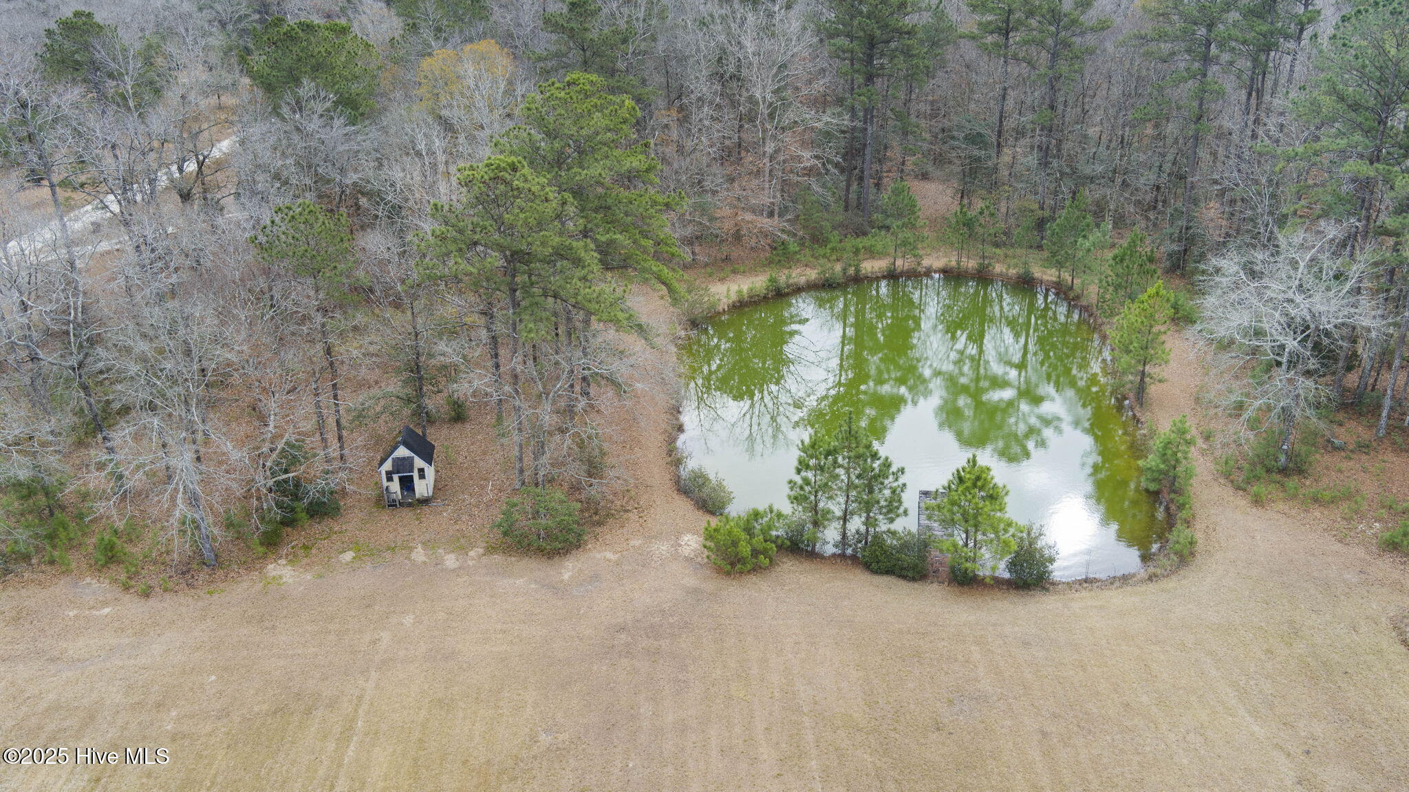 100546888 | Photo 16