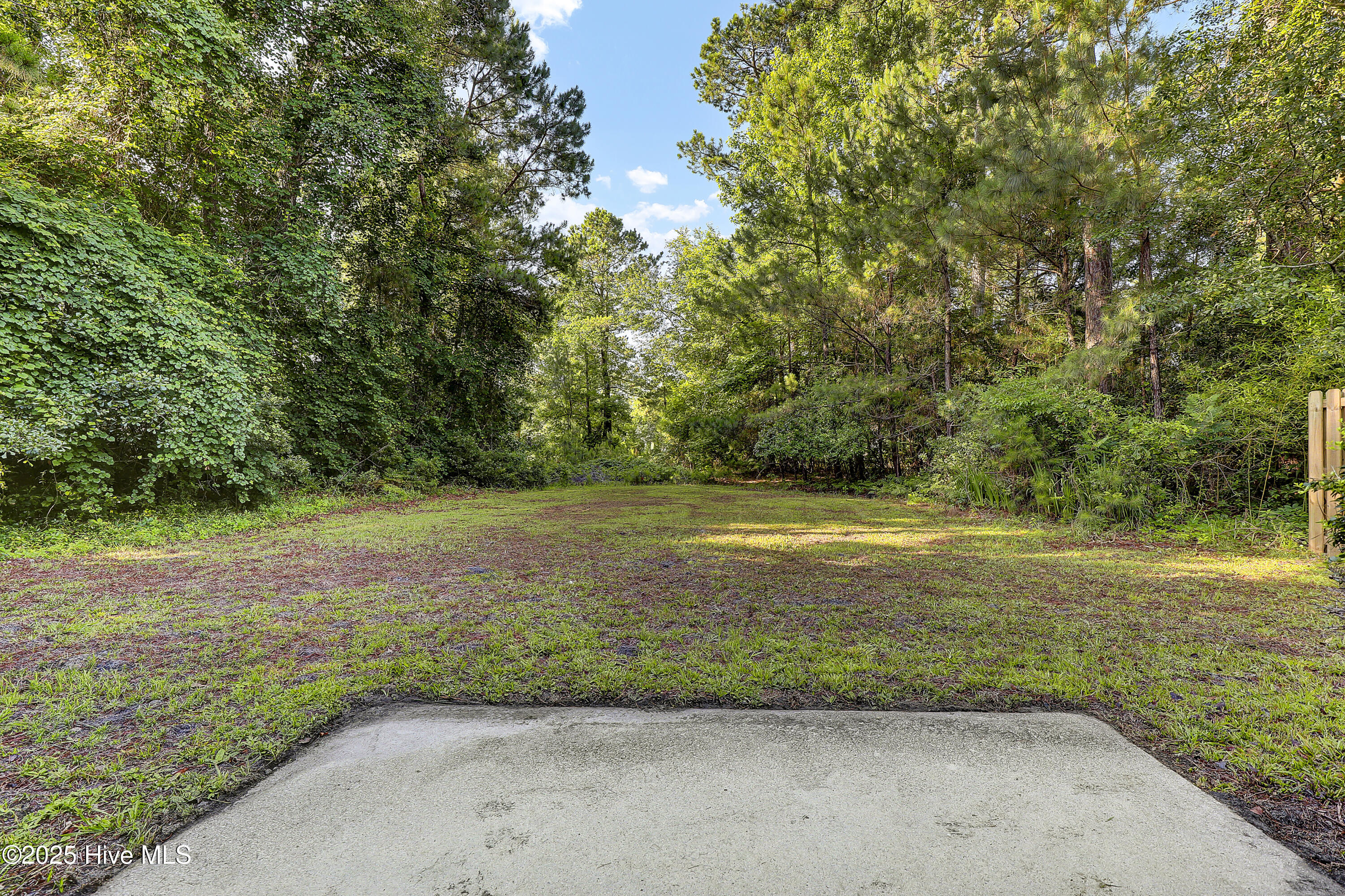 100543829 | Photo 23