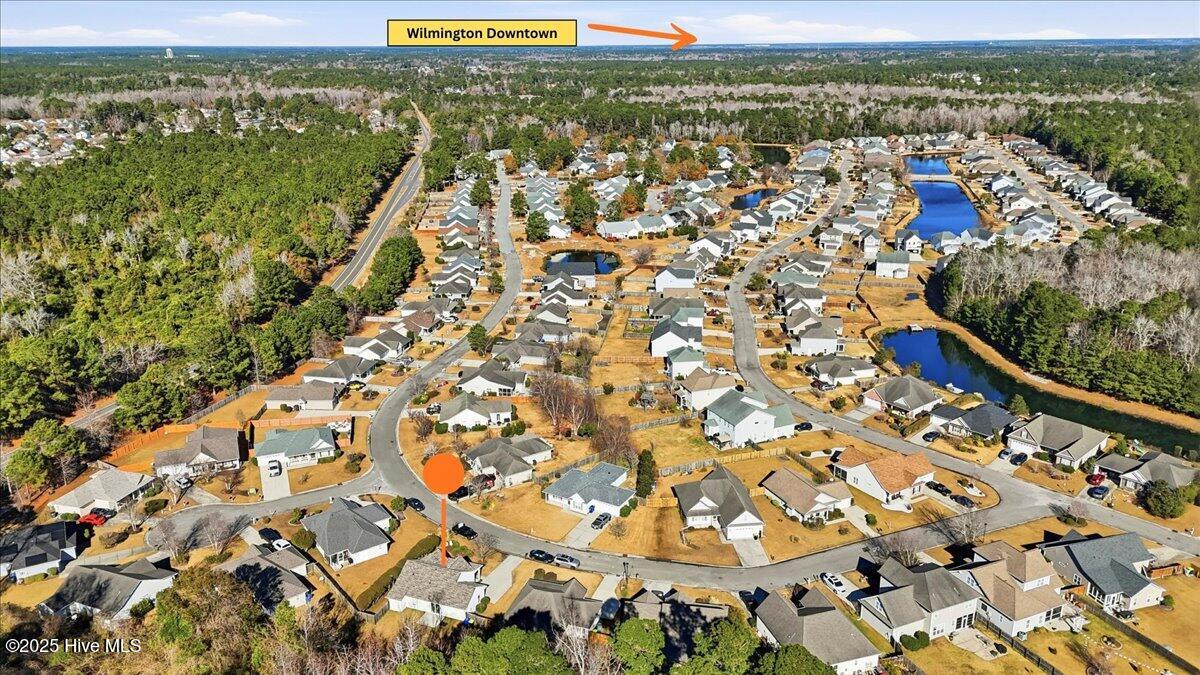 100546771 | Photo 43