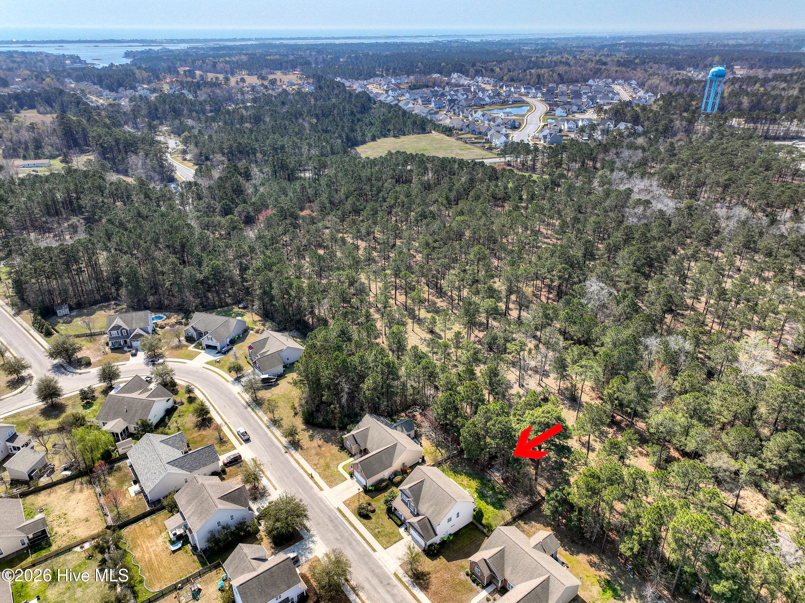 100562965 | Photo 10