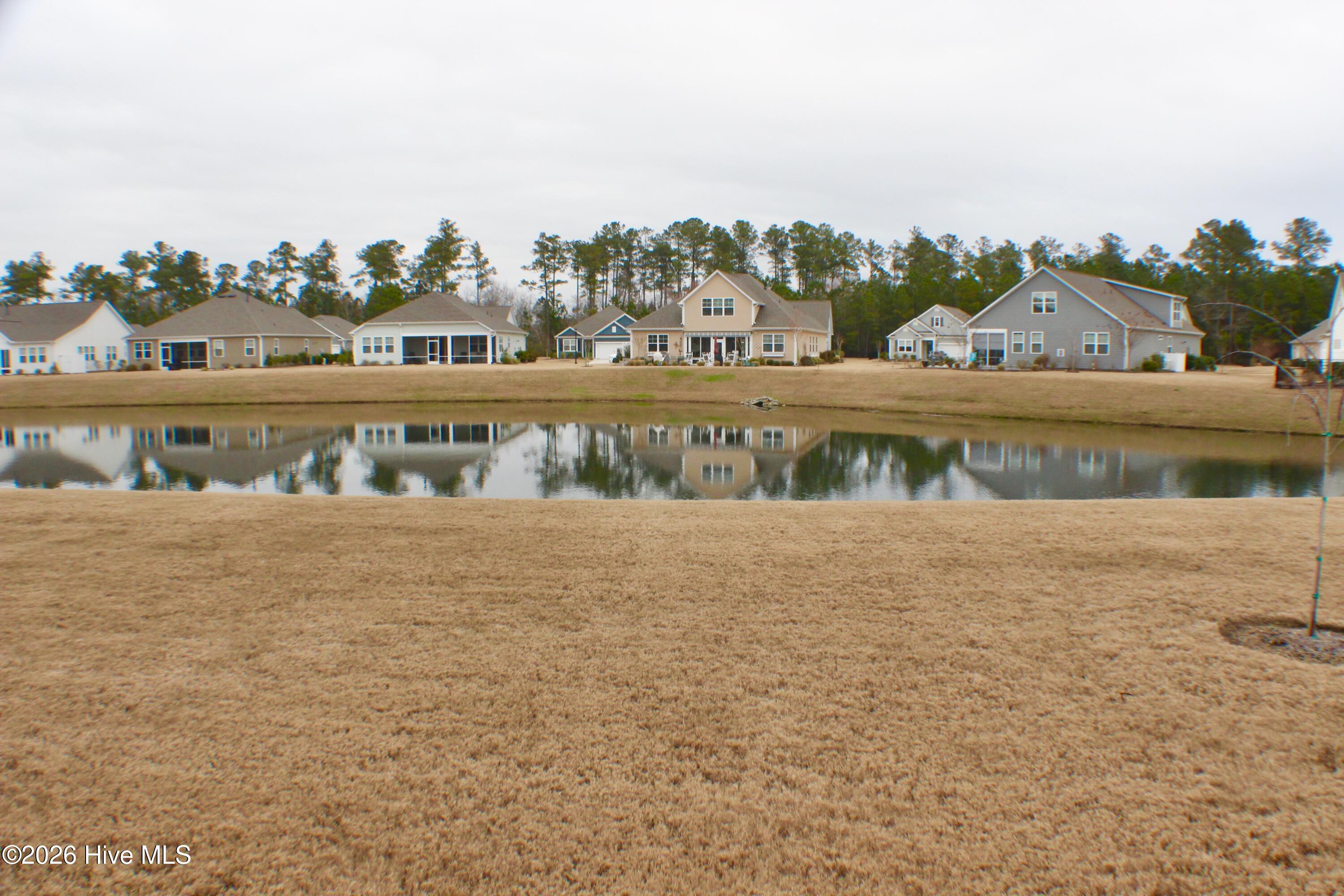 100557593 | Photo 27