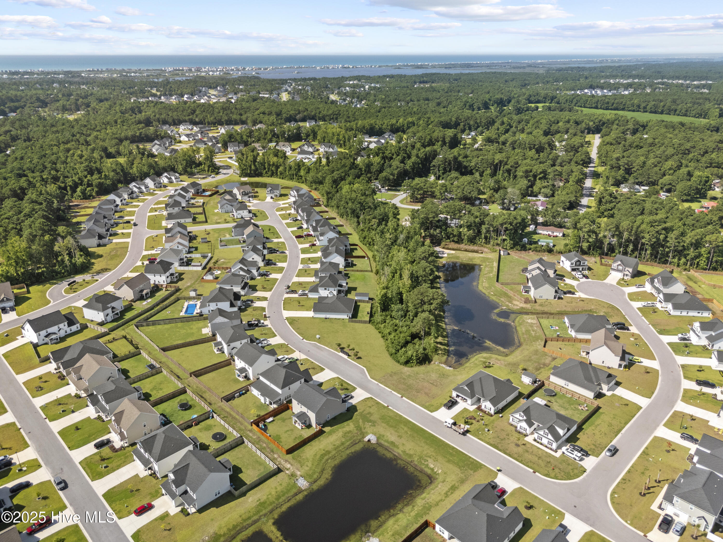 100518858 | Photo 58