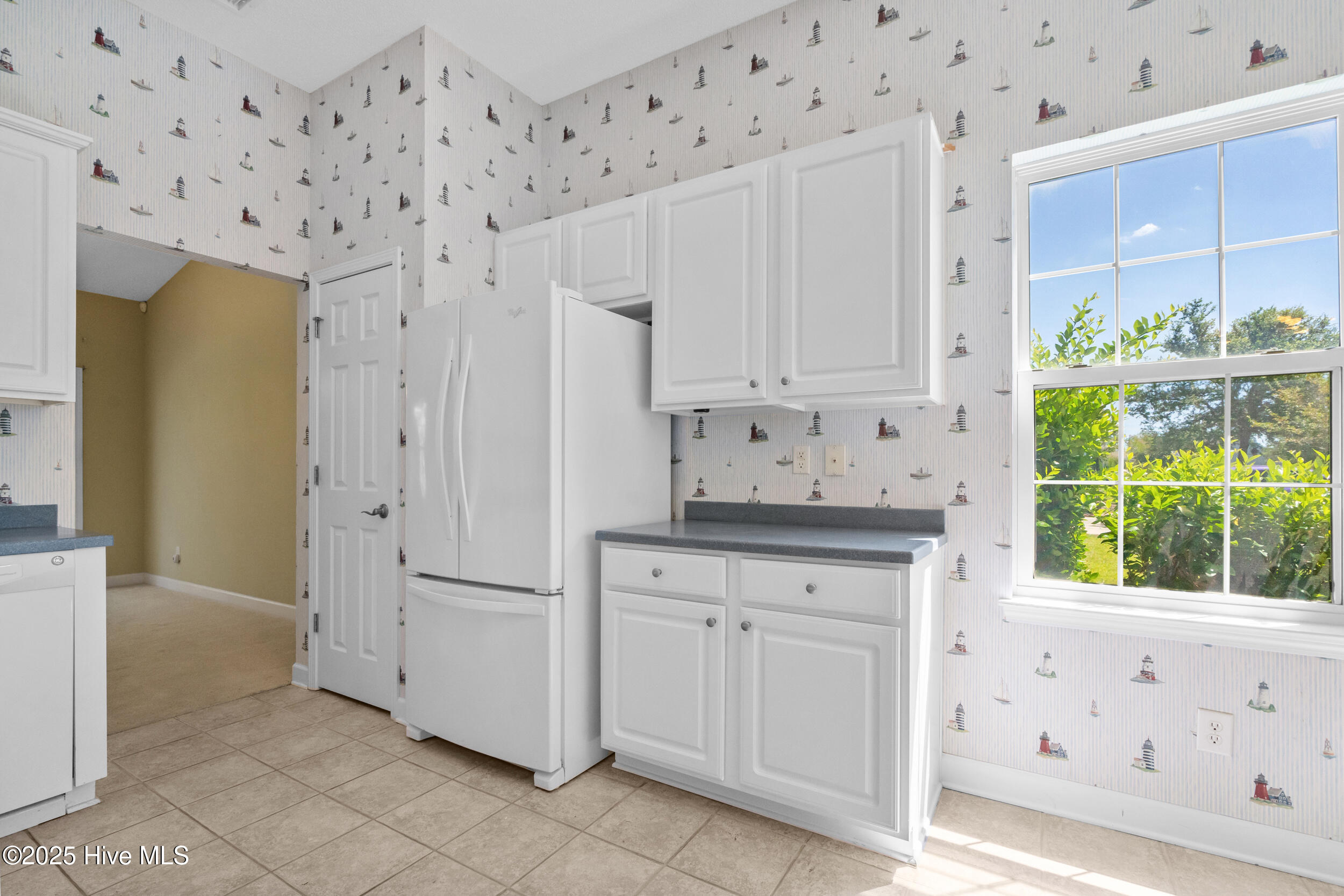 100529171 | Photo 13