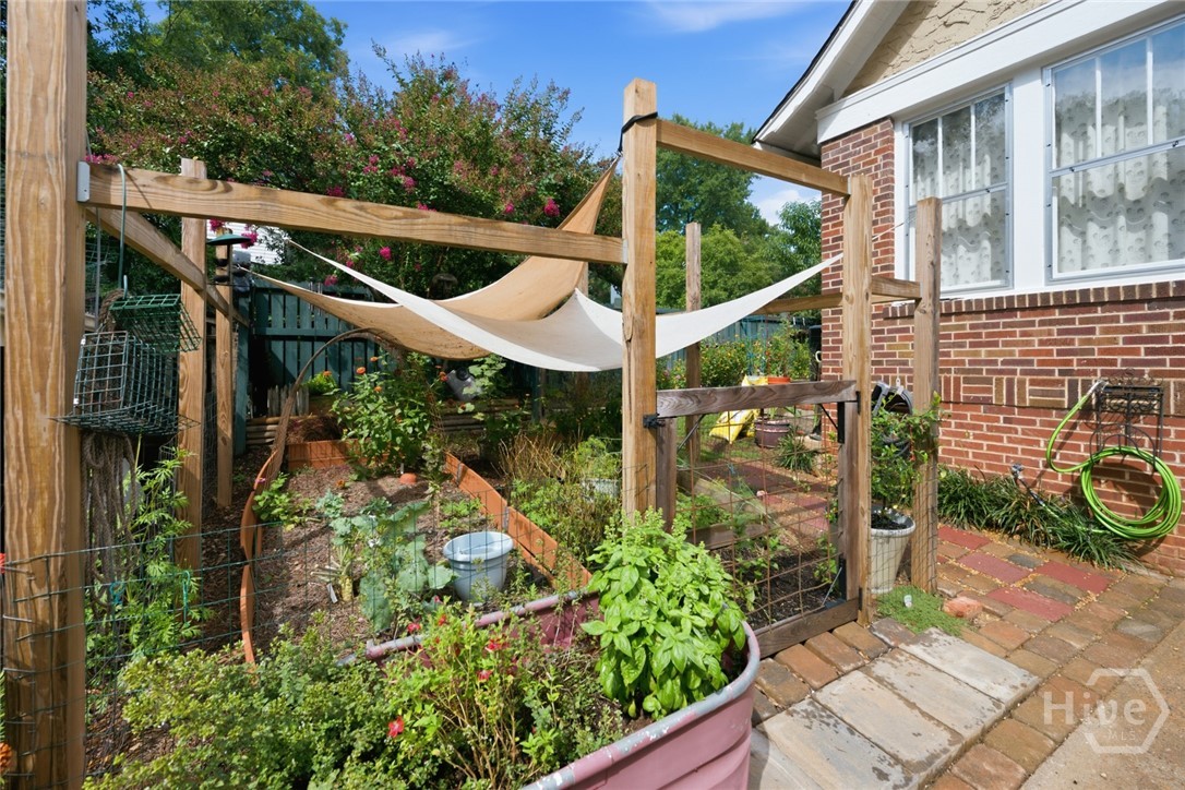 Garden area