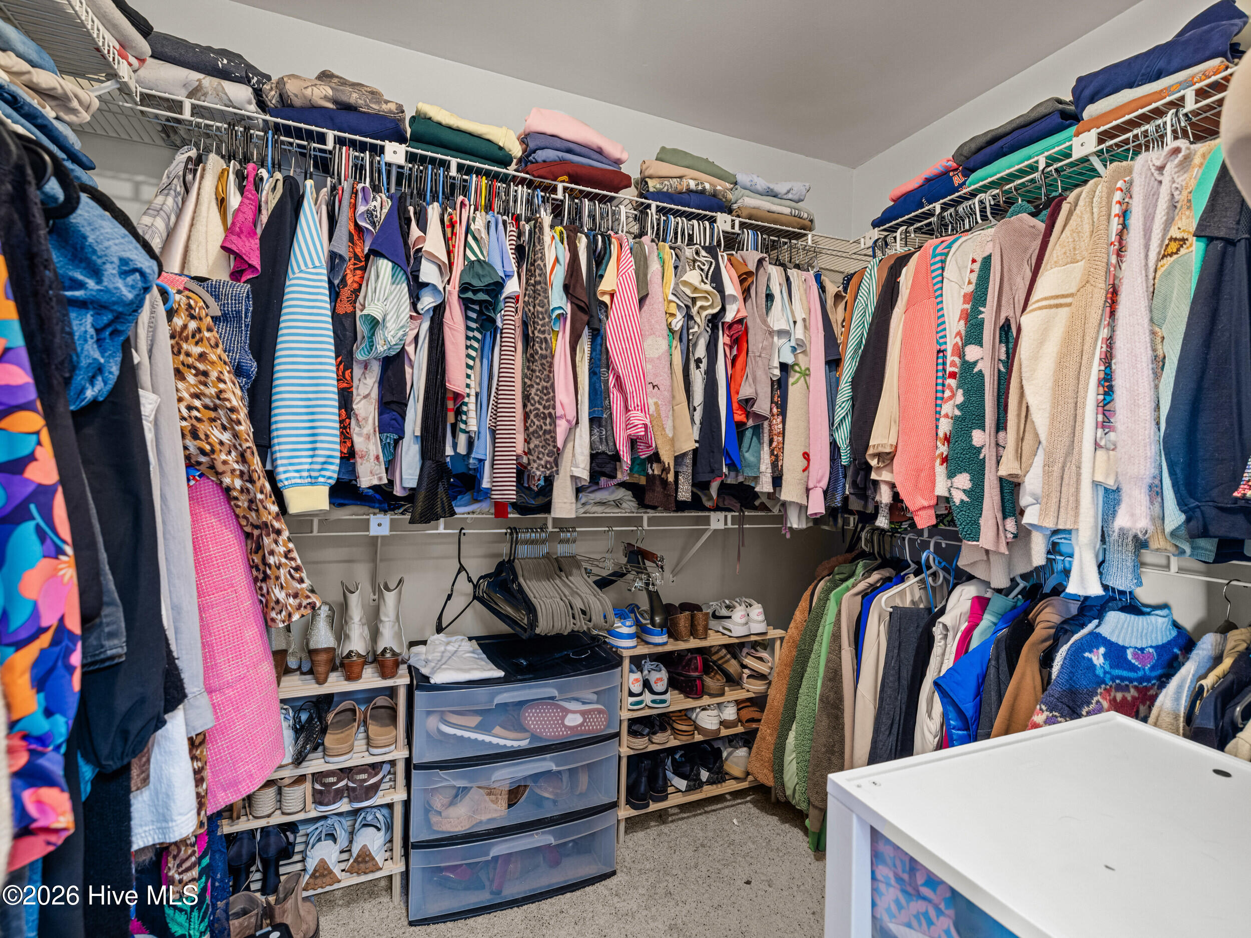 100570486 | Photo 47