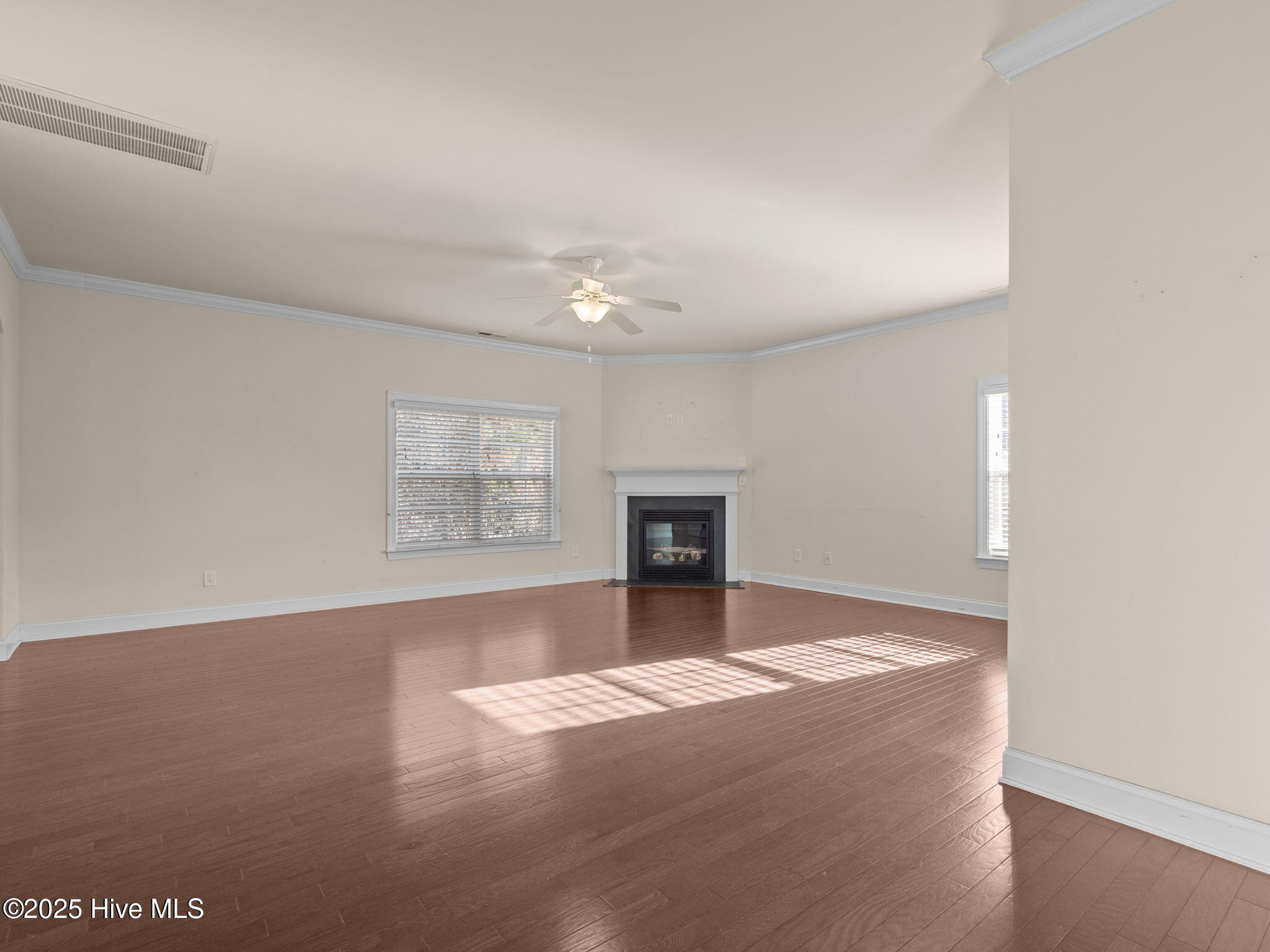 100545403 | Photo 10