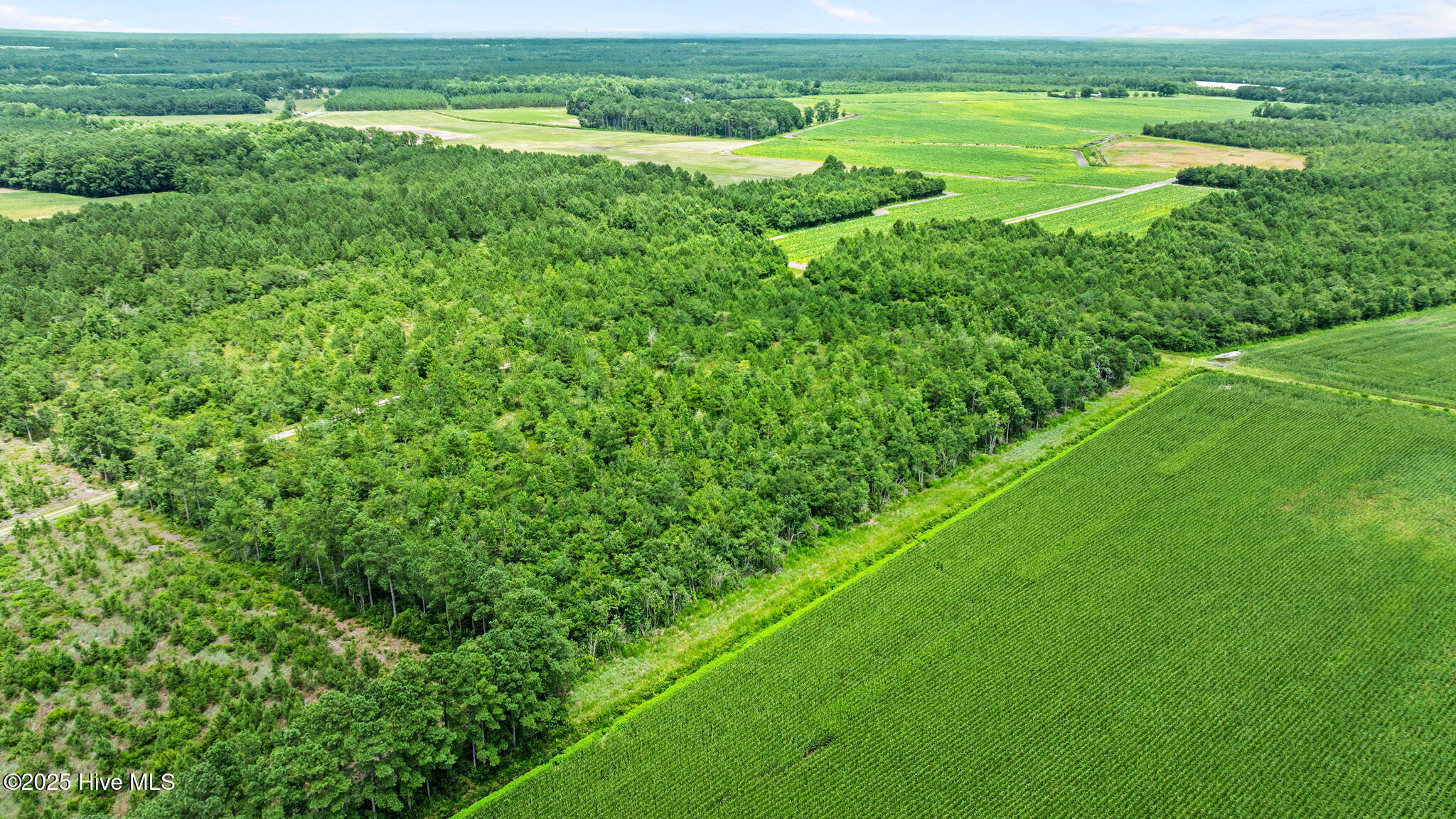 Homes for sale in Garland, NC | 1 Green Sea Rd, Garland, NC 28441 | MLS# 100517388