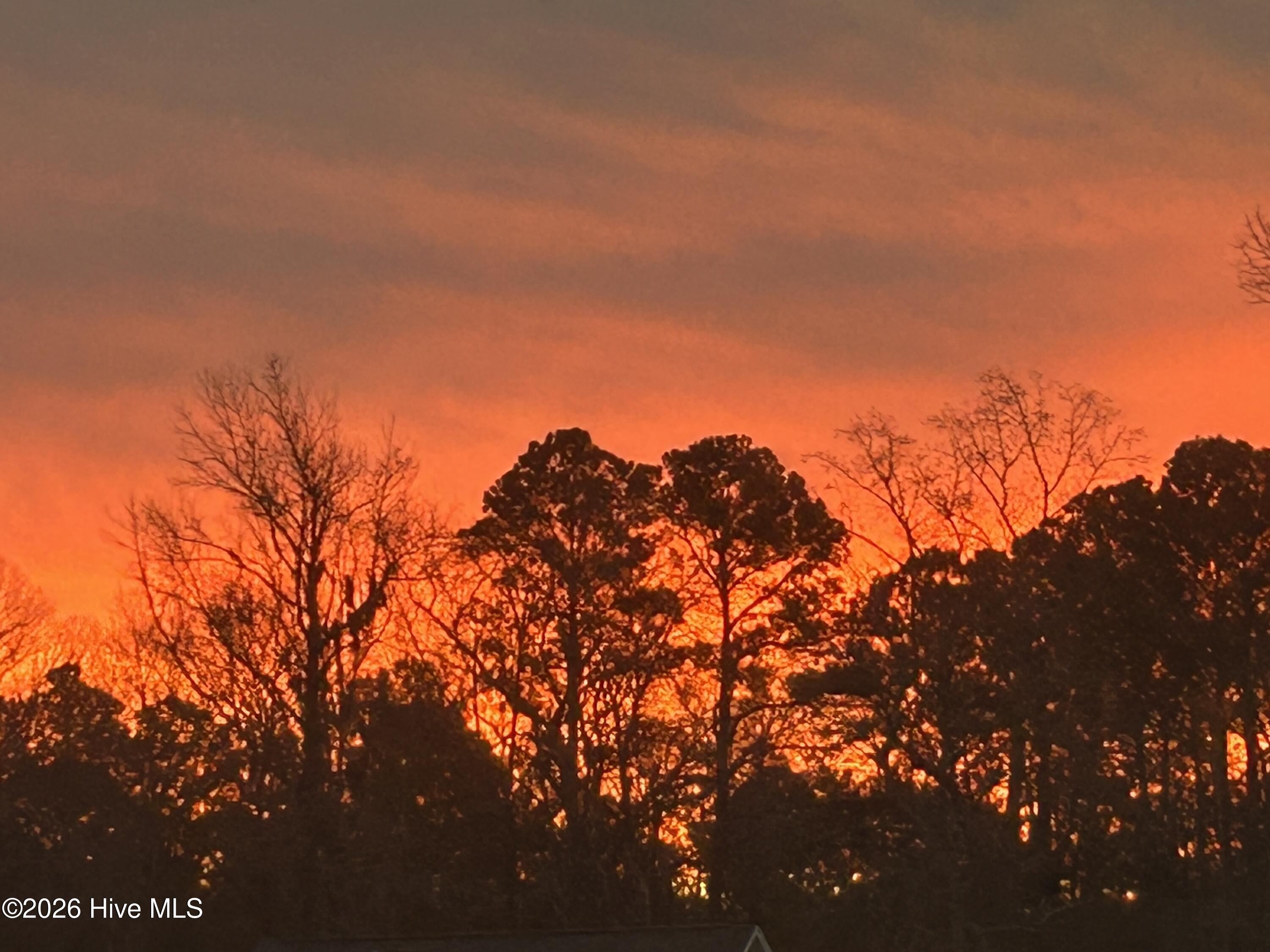 100552333 | Photo 10