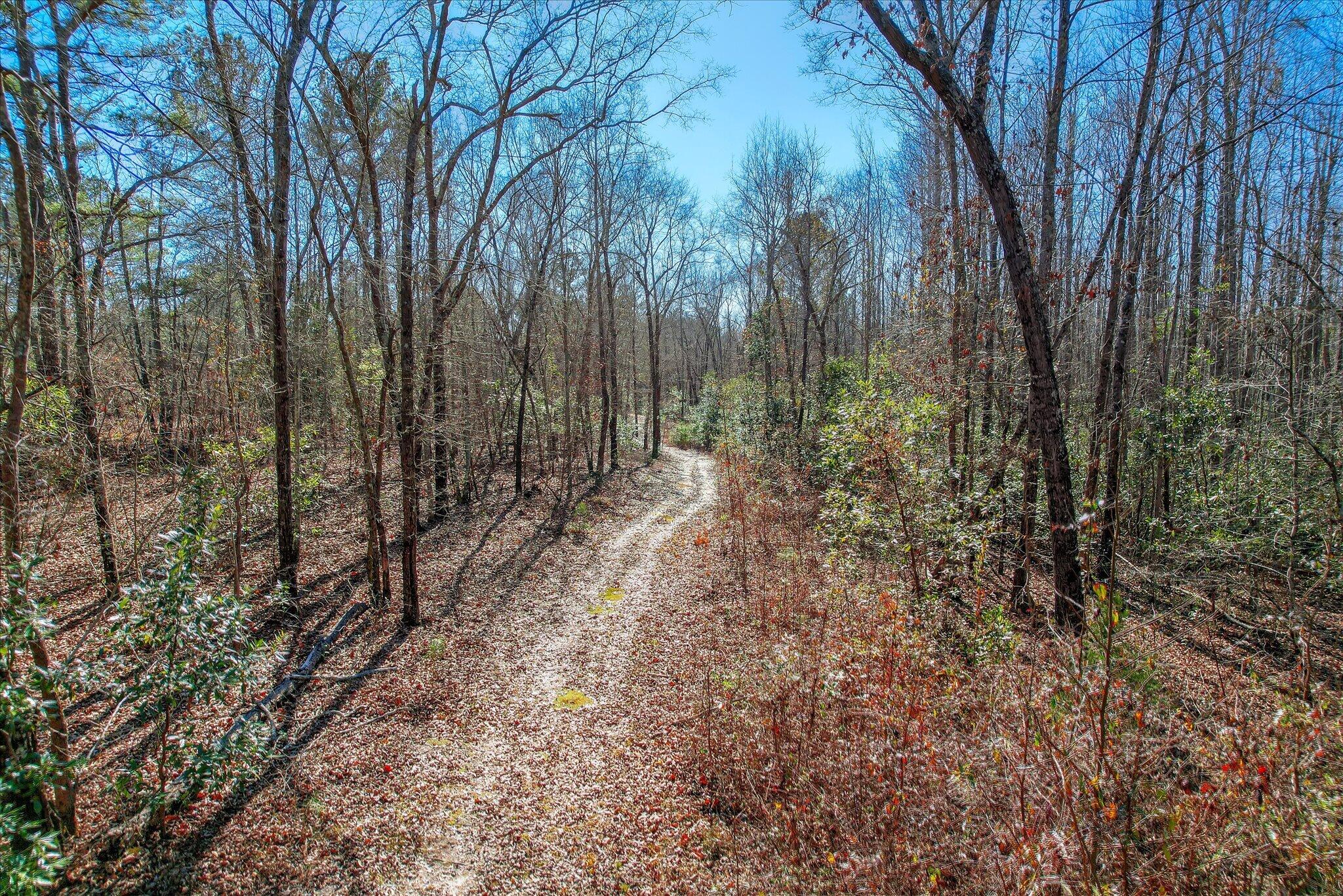 Tract 2 Day Road, Aiken, SC, 29801