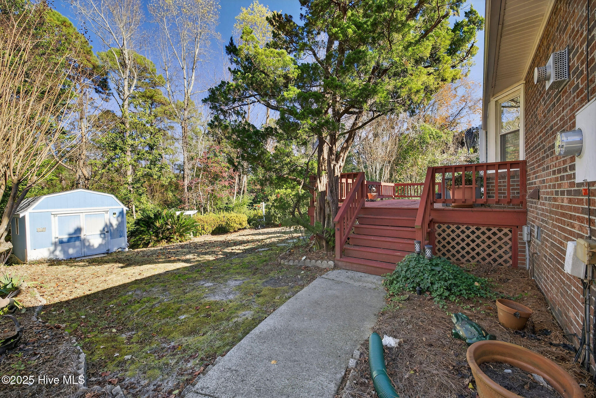 100545478 | Photo 39