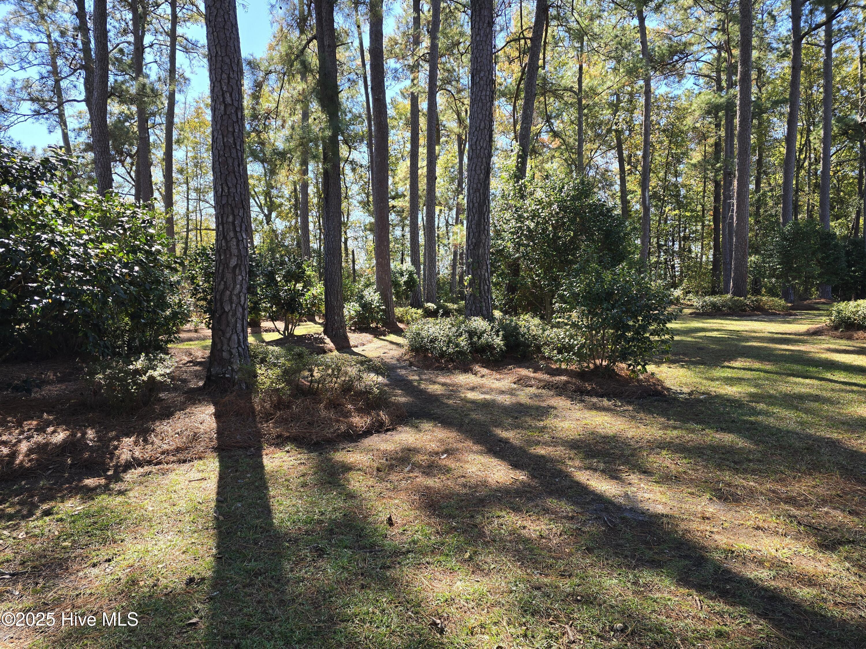 100540176 | Photo 20