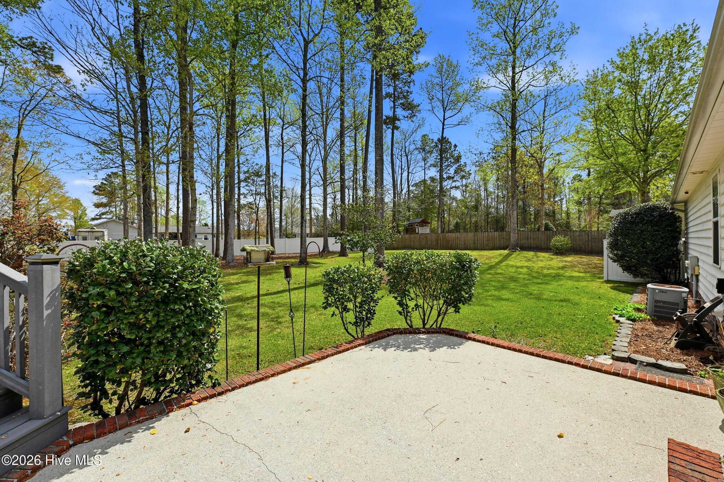 100562256 | Photo 32