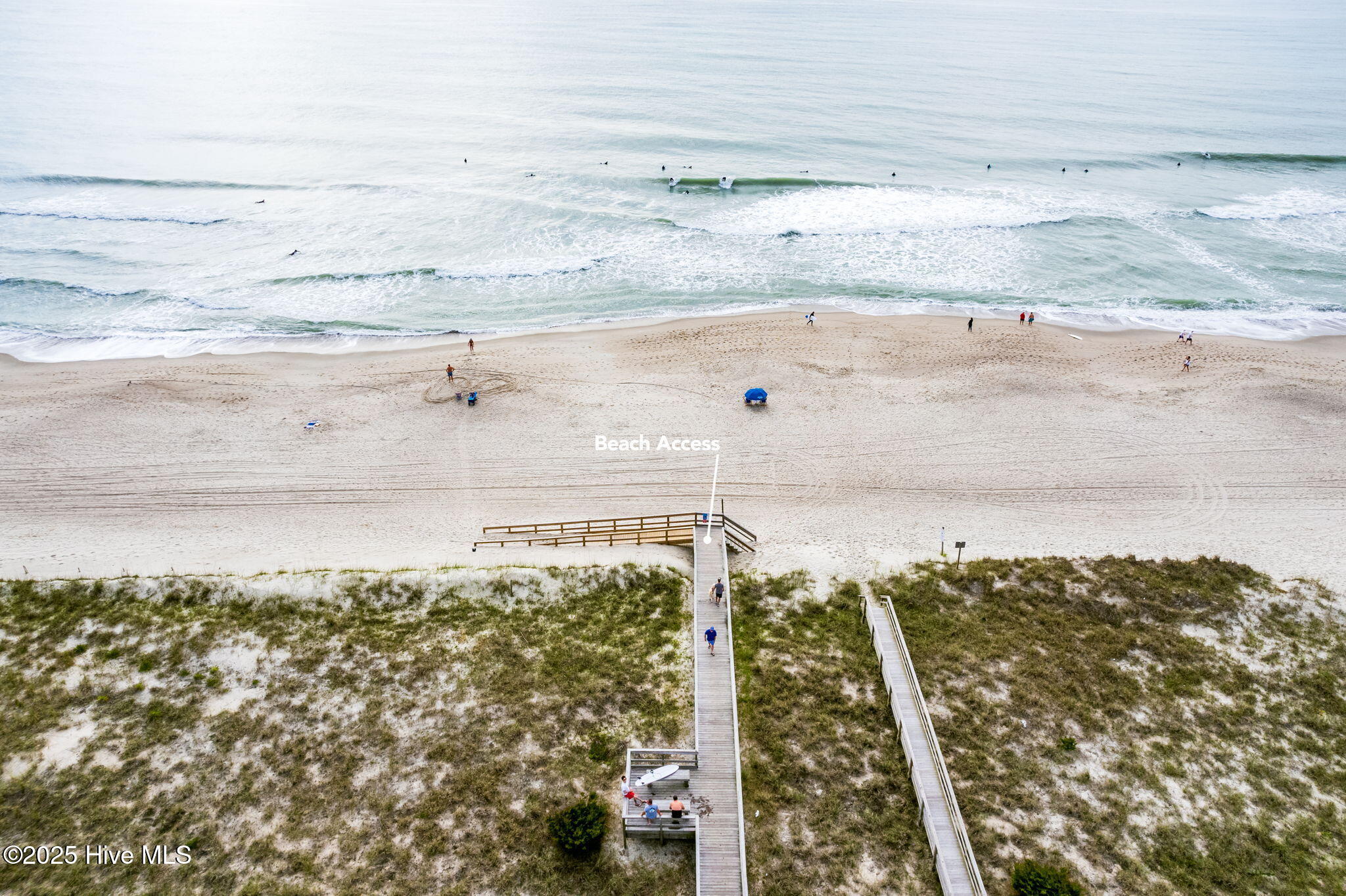 100485156 | Photo 51