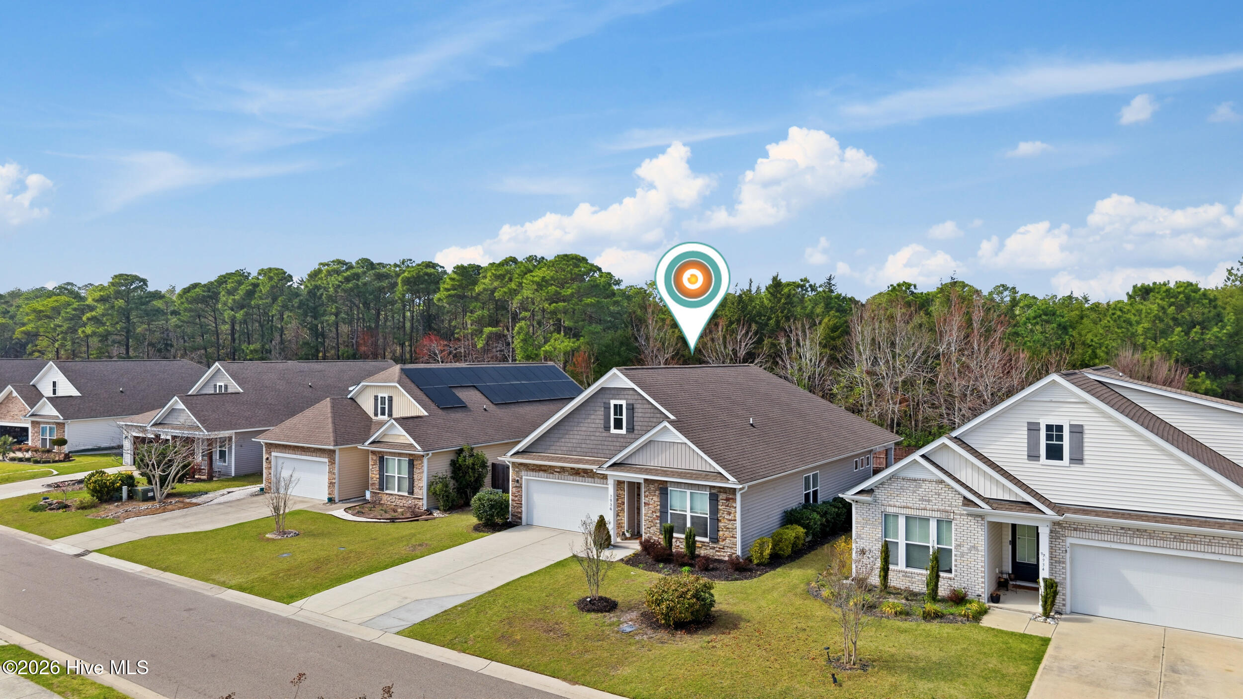 100557196 | Photo 32