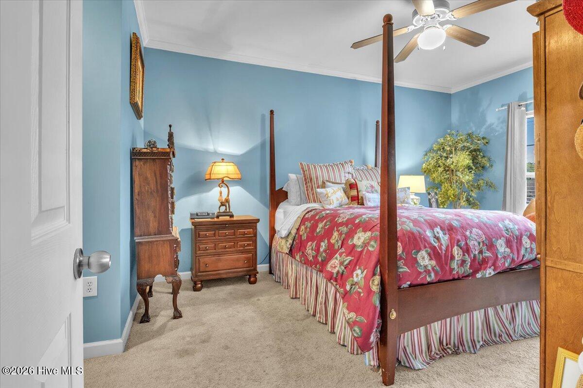 100557211 | Photo 10