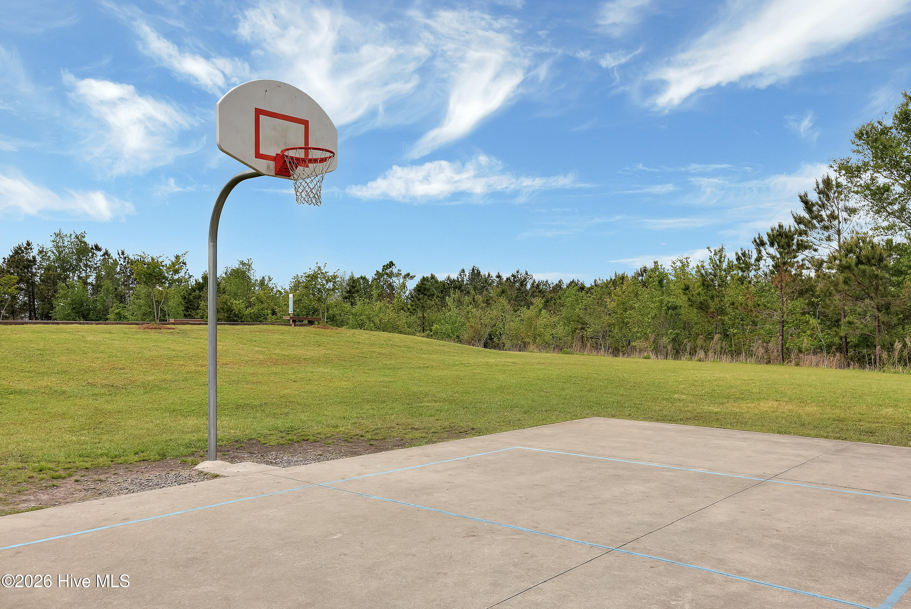 100561056 | Photo 43