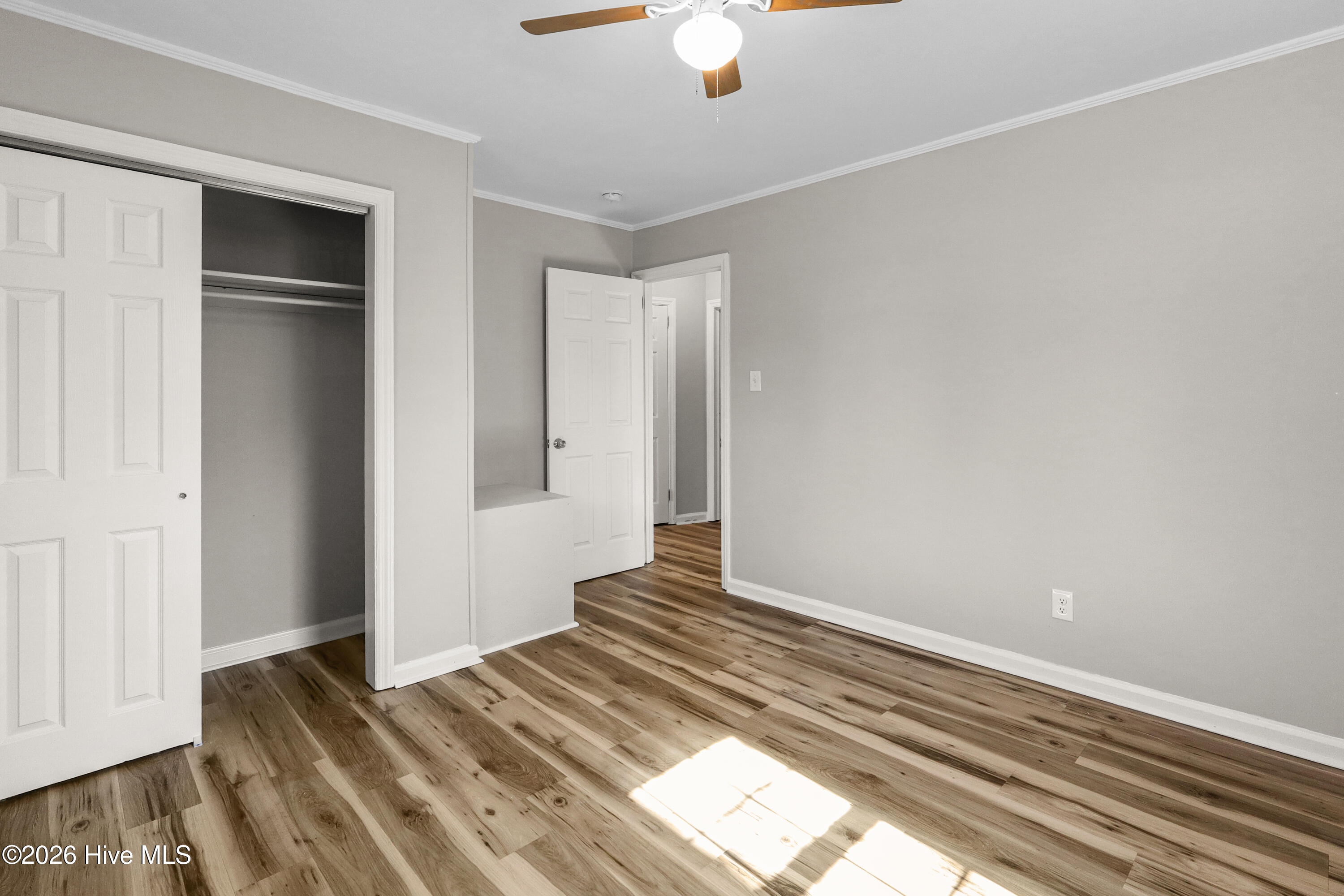 100556489 | Photo 27