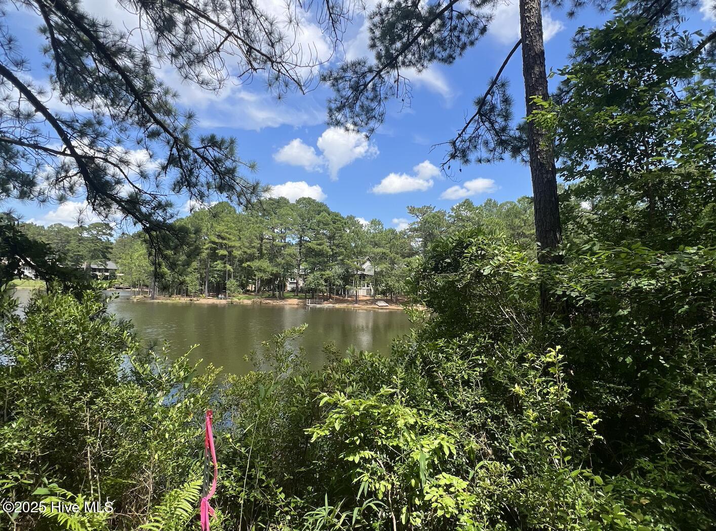 Screenshot 2025-07-03 at 3.10.51 PM