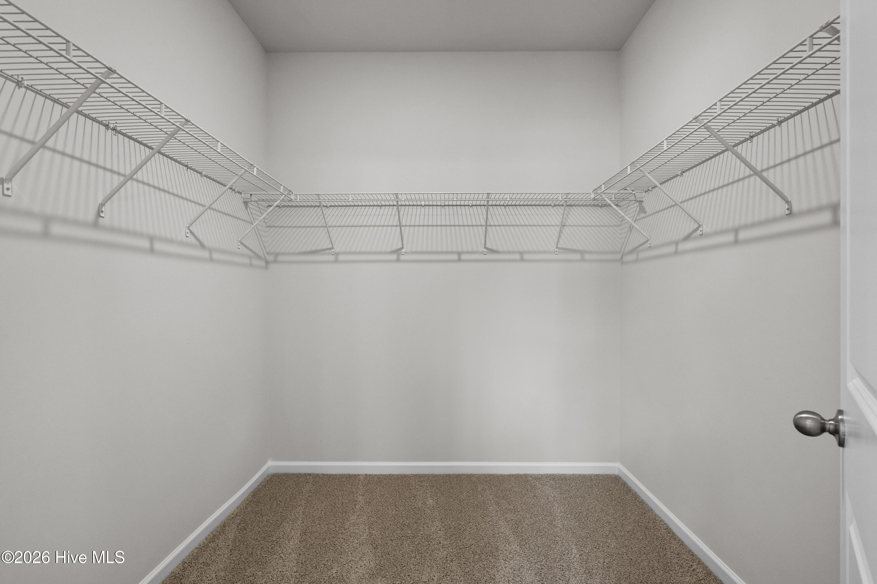 100554673 | Photo 27