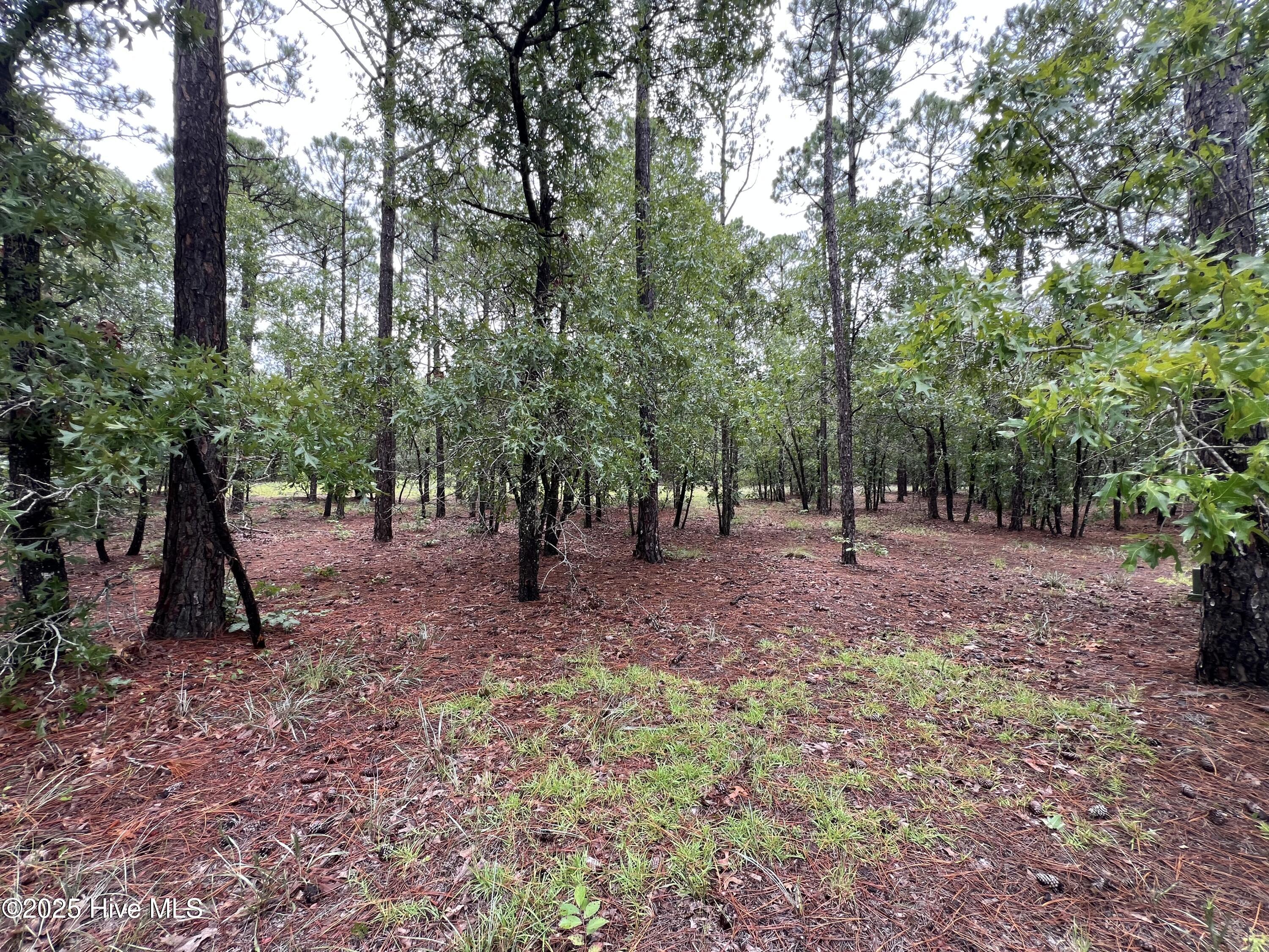 100527062 | Photo 11