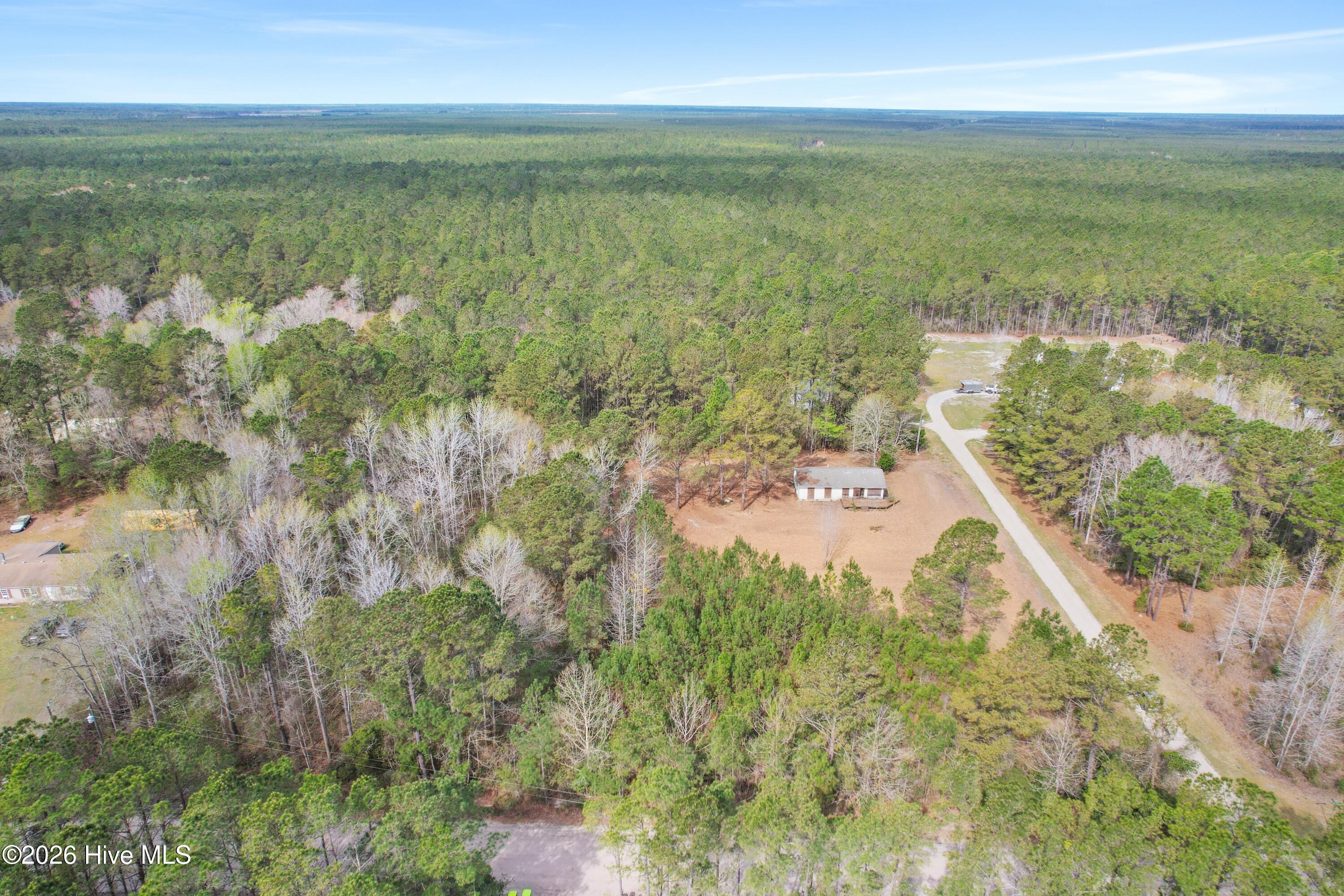 100563116 | Photo 10