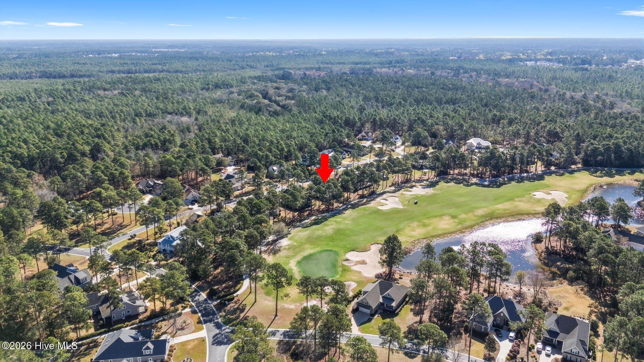 100564432 | Photo 101