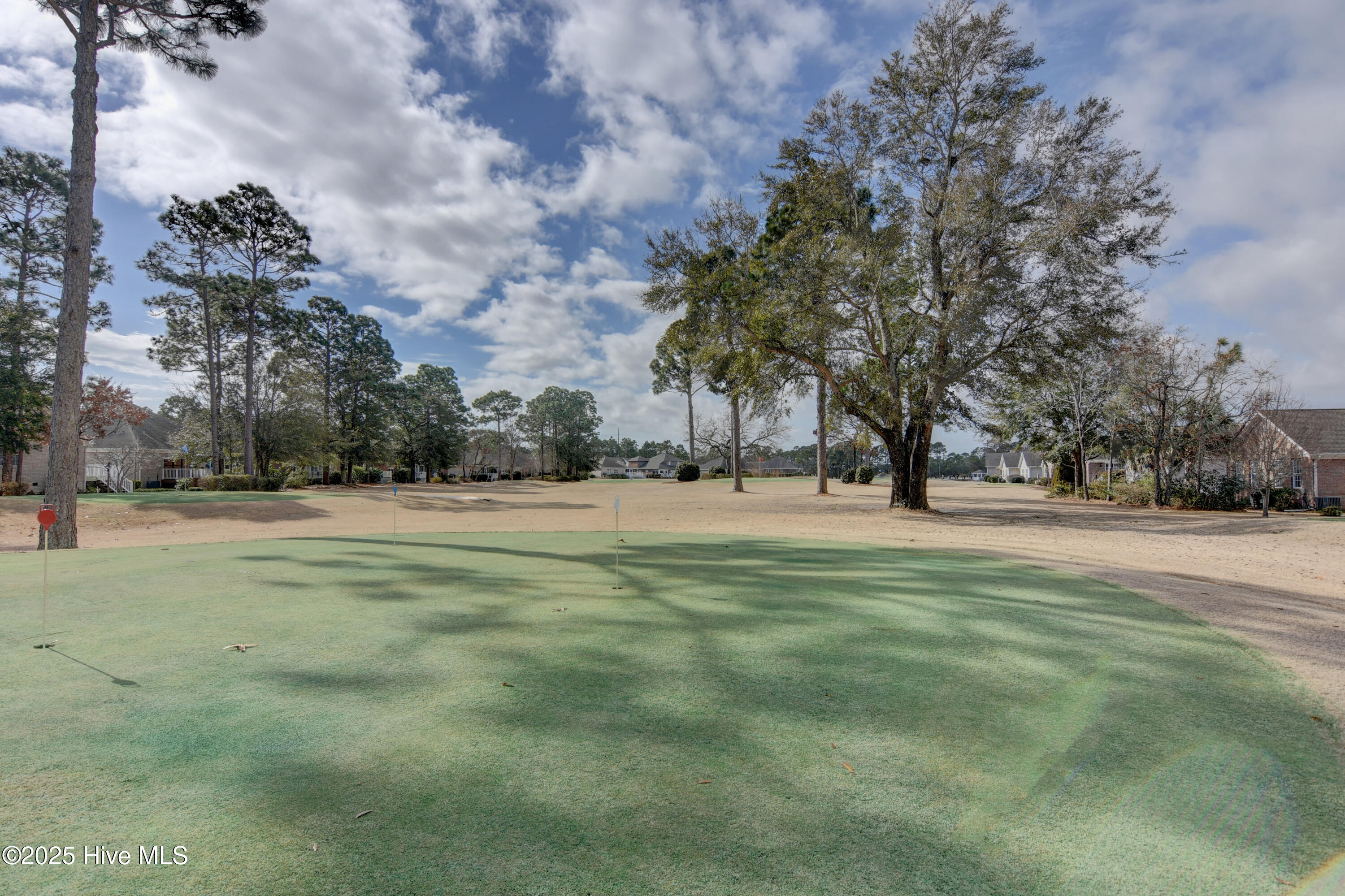 100534065 | Photo 38