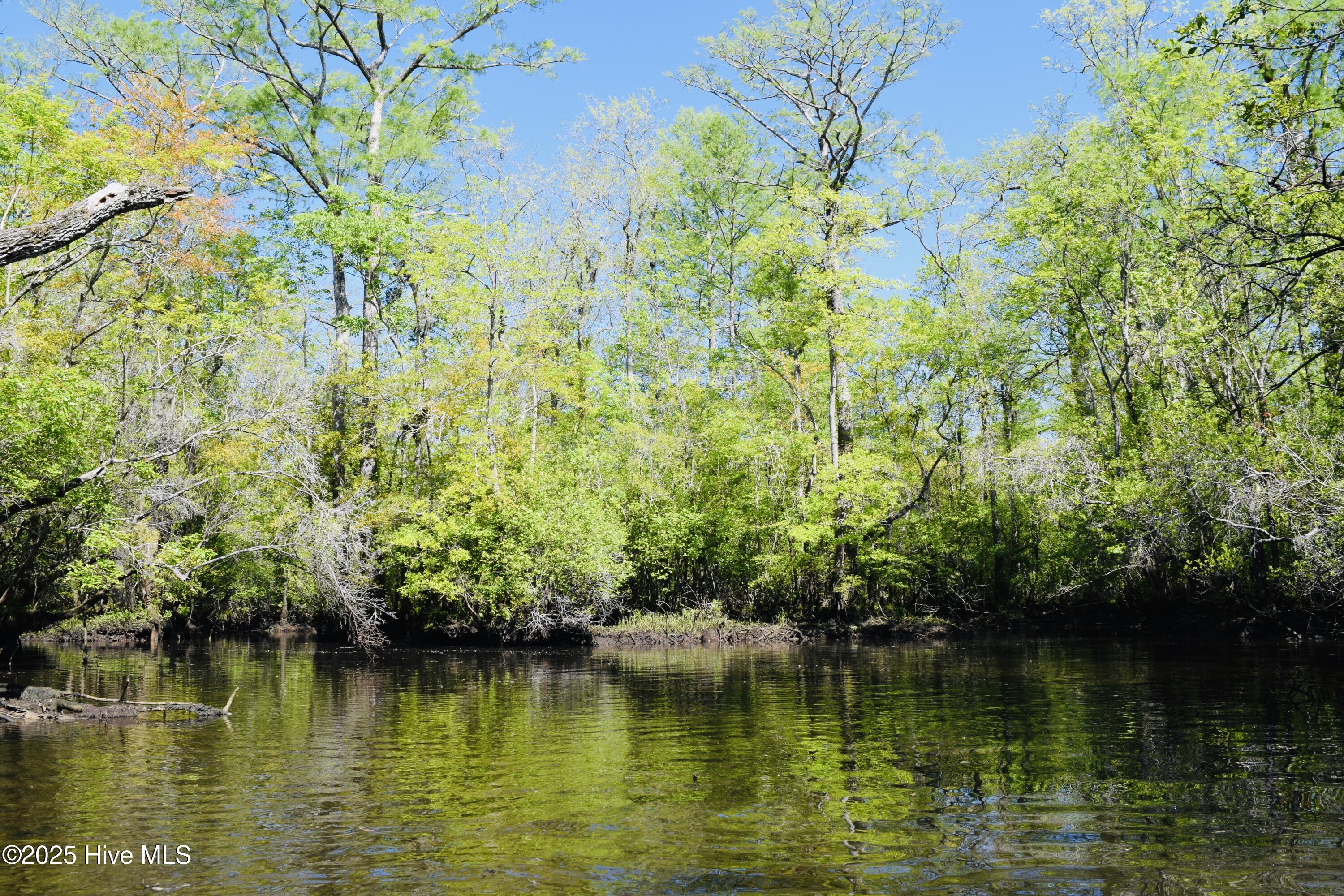 100502660 | Photo 49