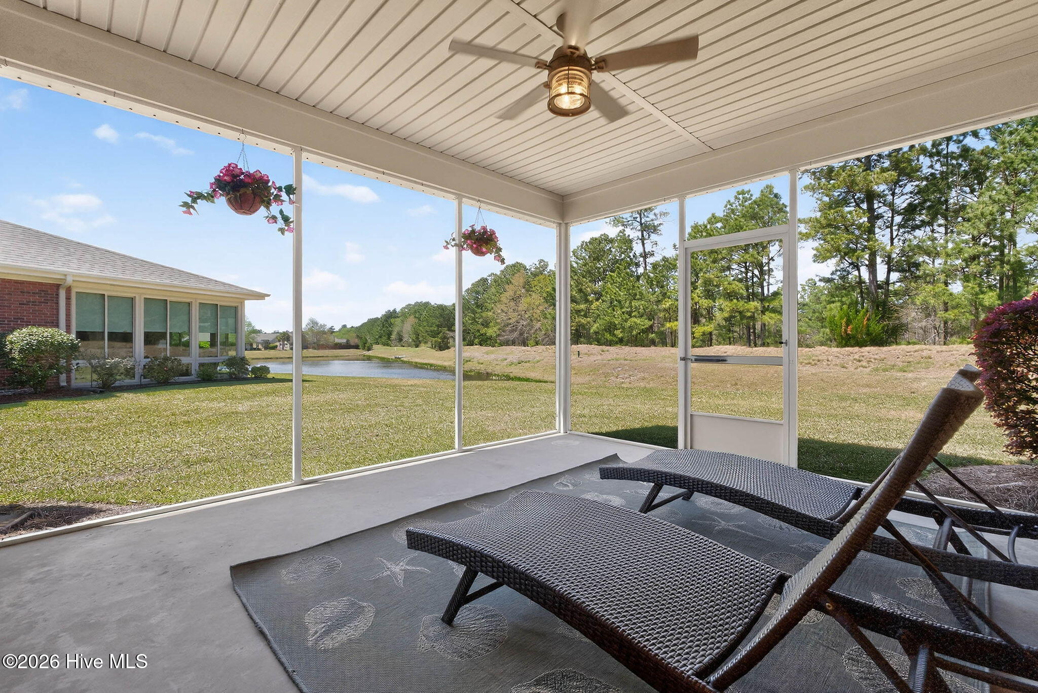 100566097 | Photo 36