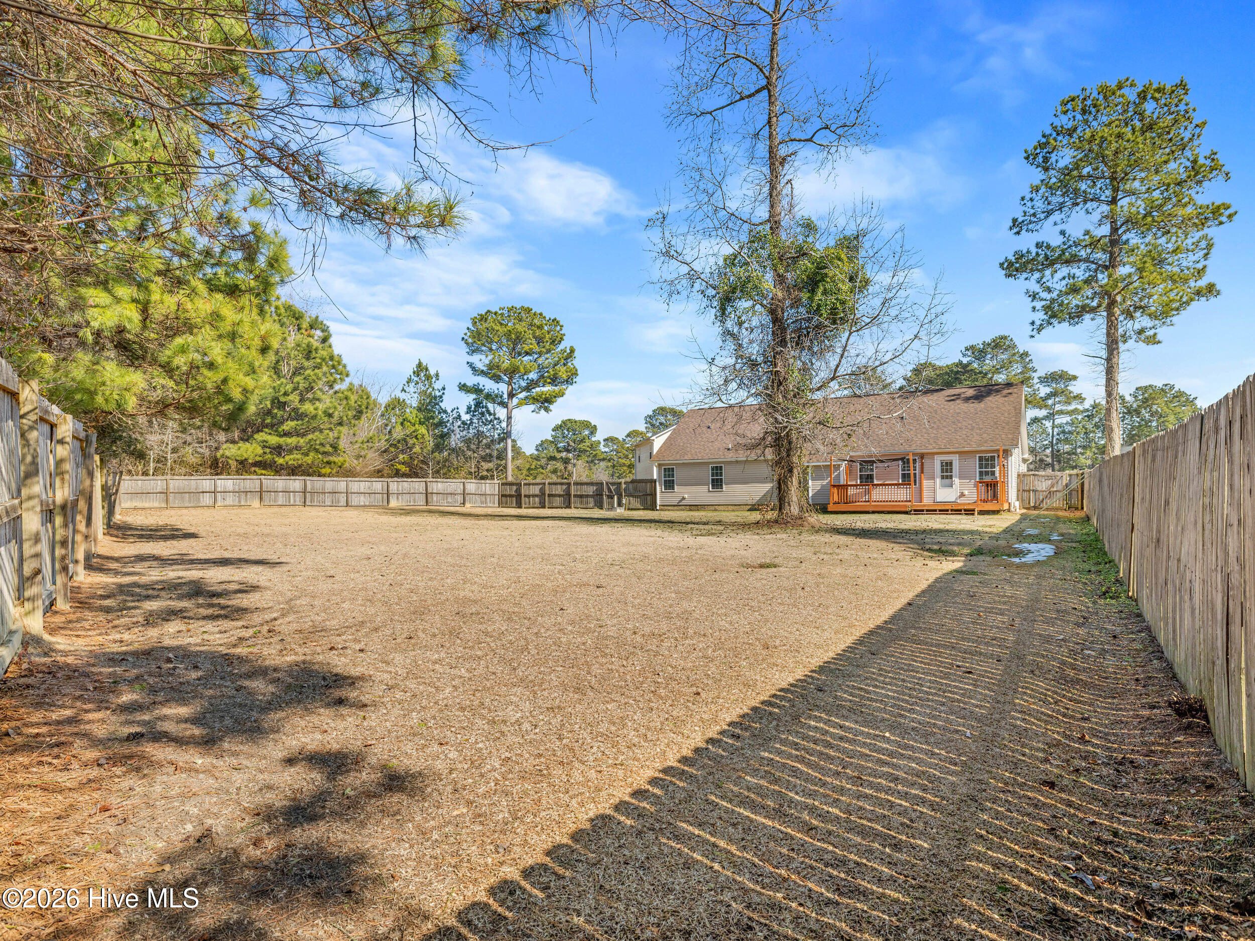 100554161 | Photo 41