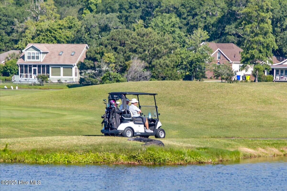 100507999 | Photo 16