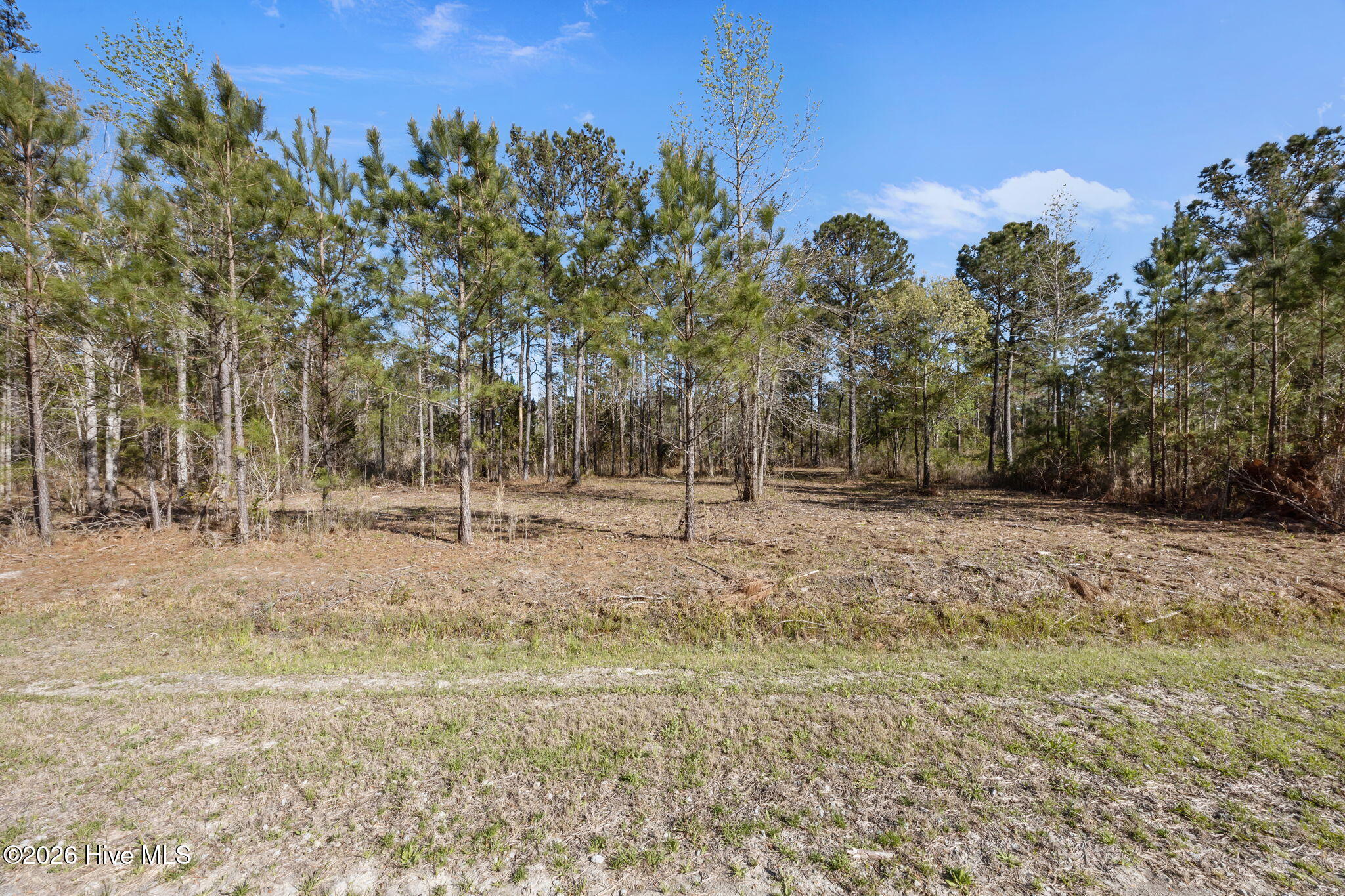 128 32 Shell Castle Lane,Vandemere