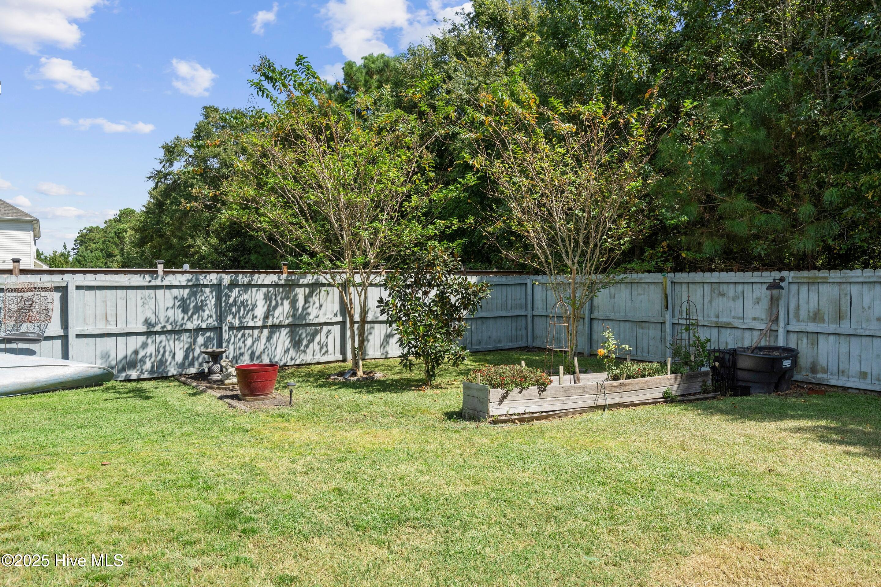 100532495 | Photo 64