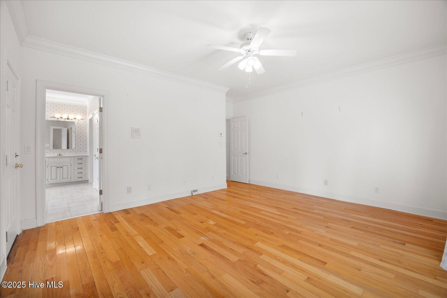 100527258 | Photo 31