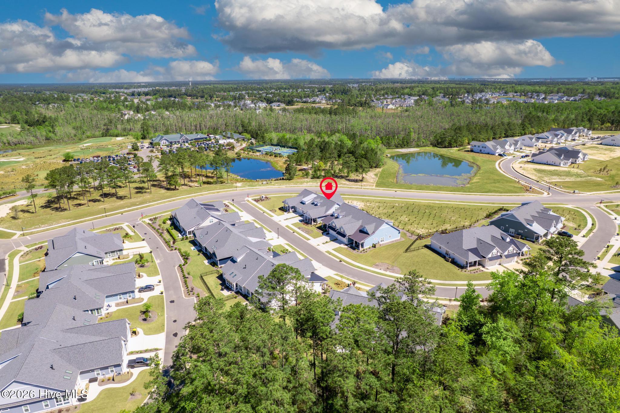 100567650 | Photo 45