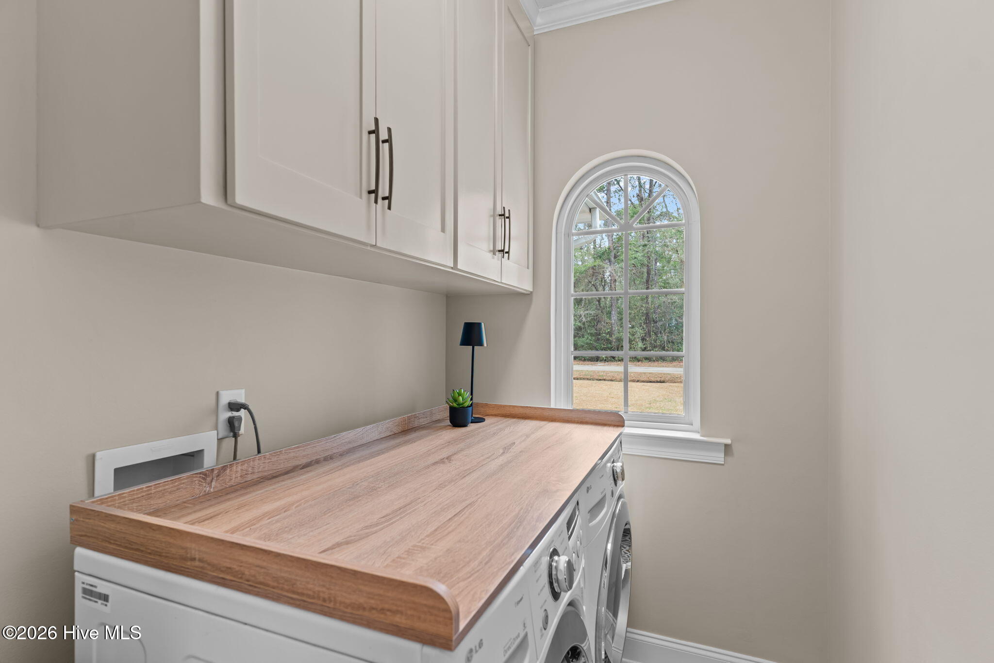 100556977 | Photo 44