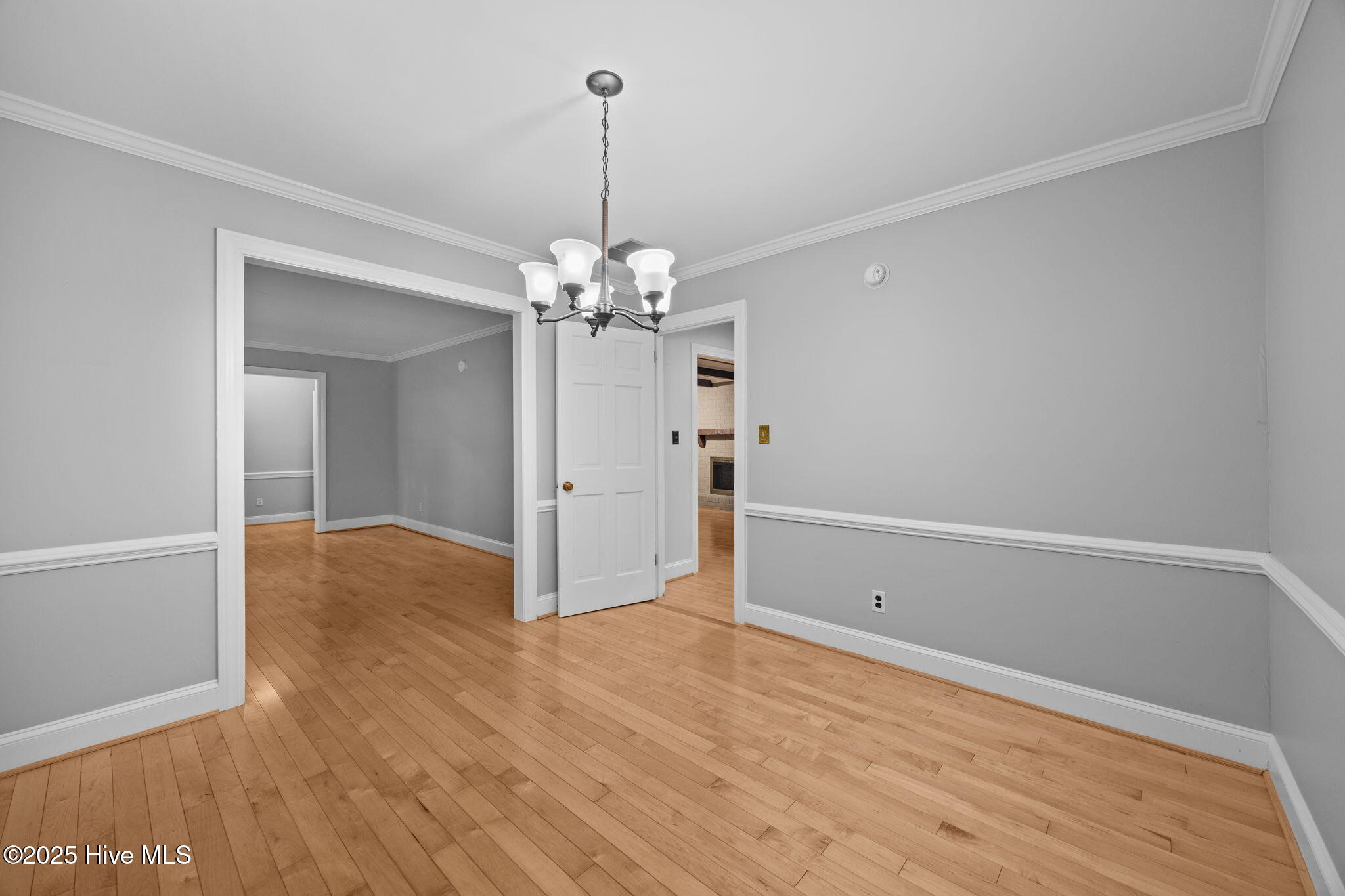 22-web-or-mls-IMG_5725