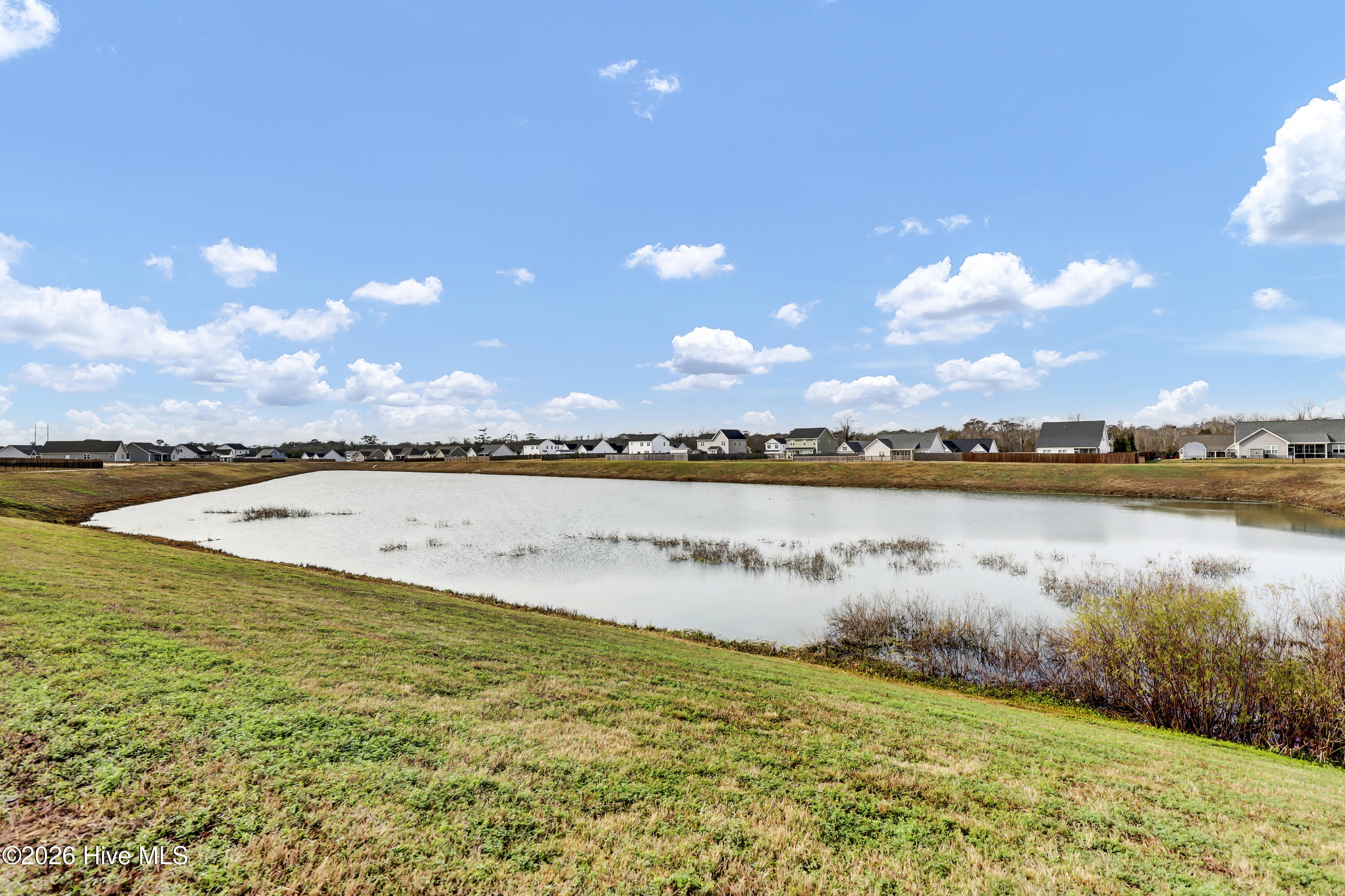 100547991 | Photo 30