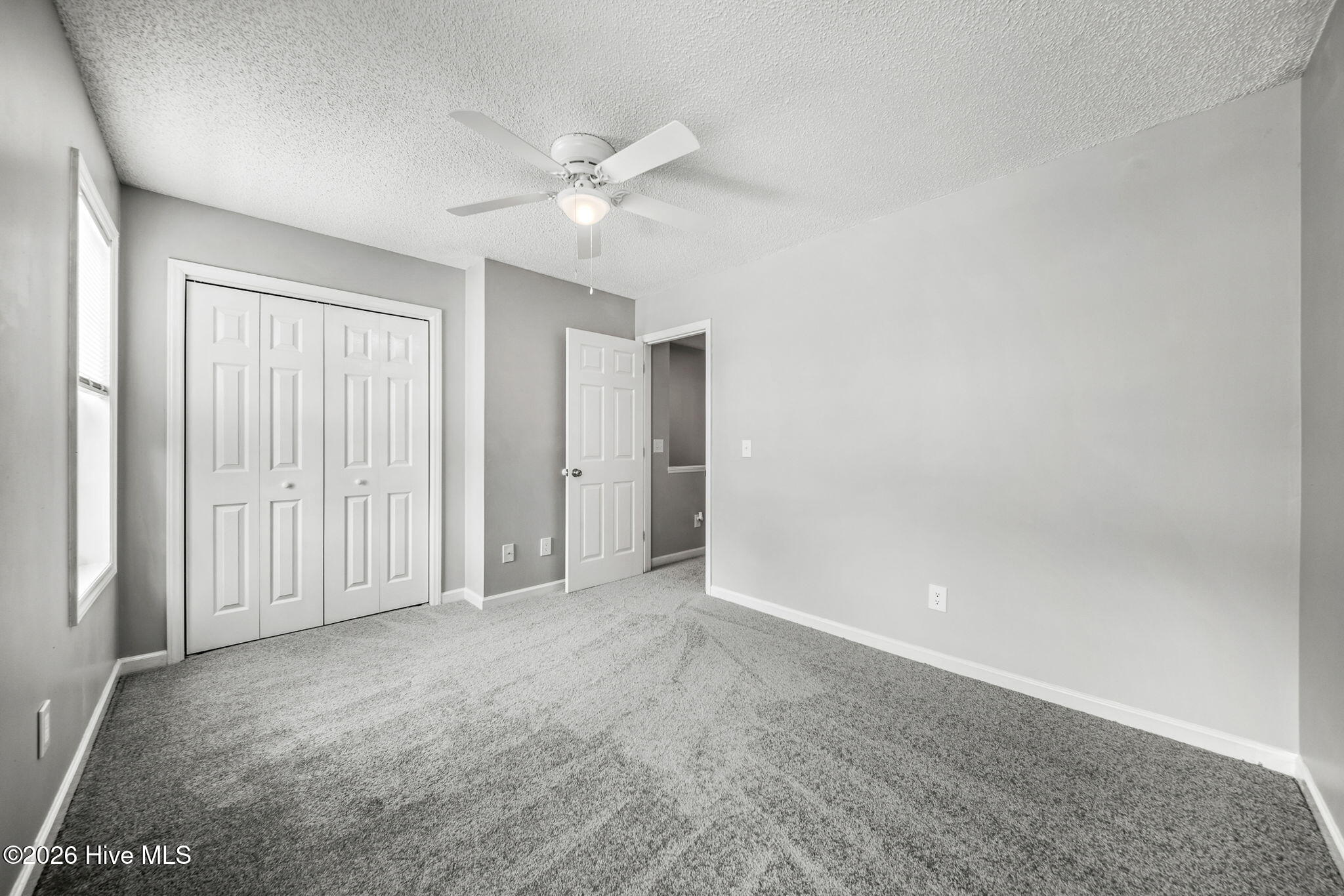 100565173 | Photo 36