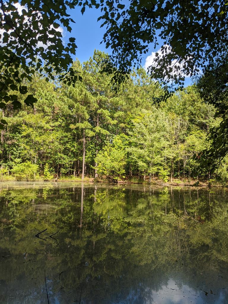 5266 White Oak Road, Appling, GA 30802 Listing Photo  1