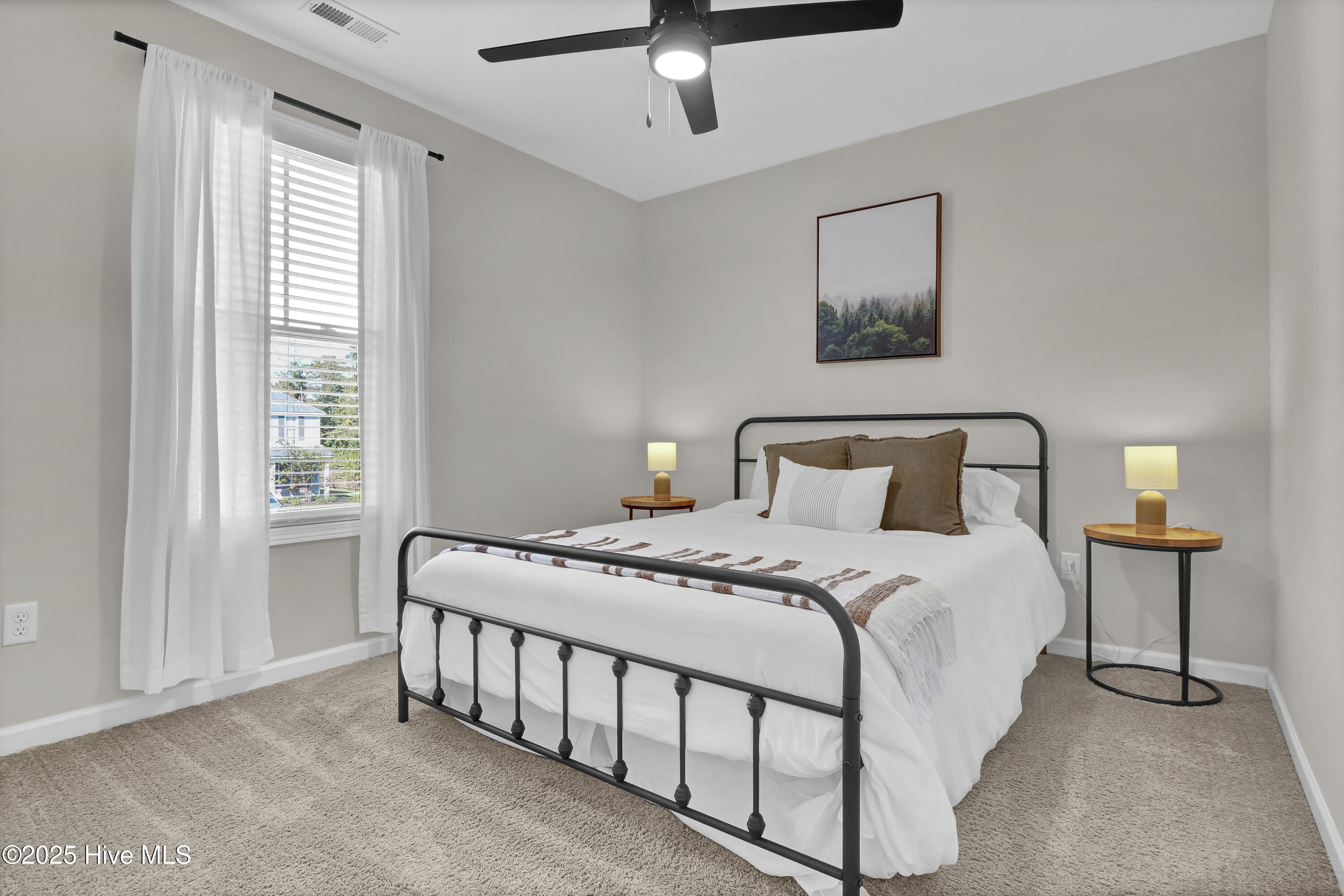 100537920 | Photo 24