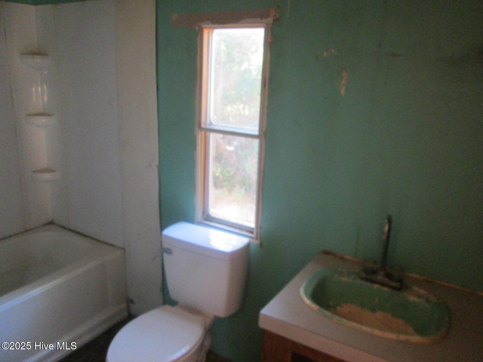 100541558 | Photo 10