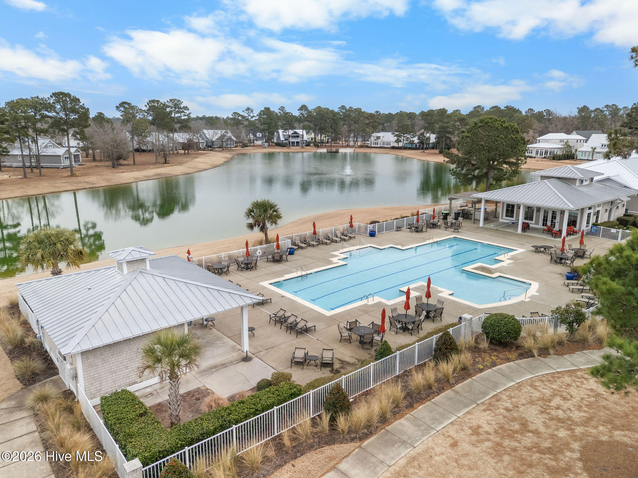 100554356 | Photo 64