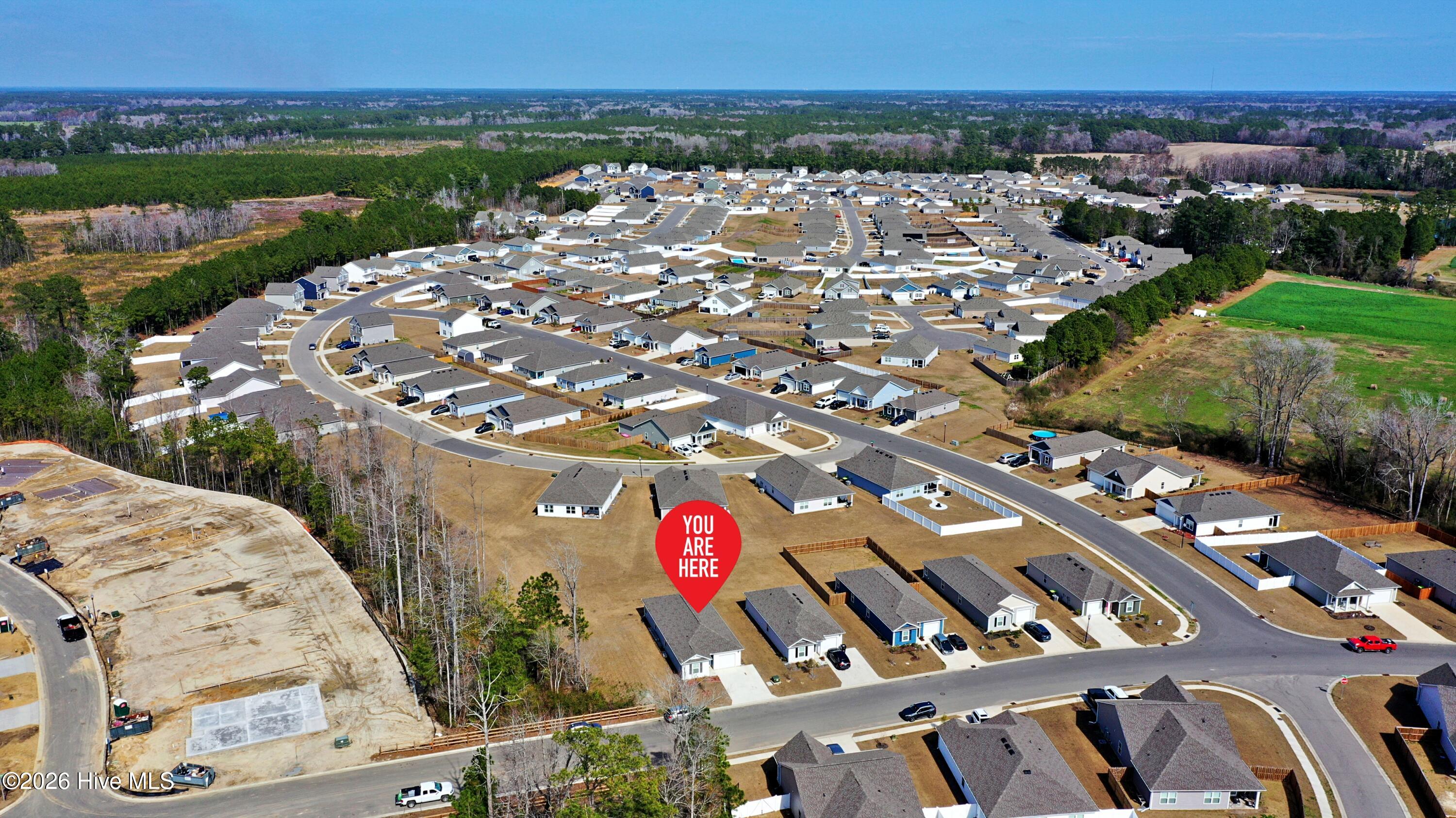 100558474 | Photo 31