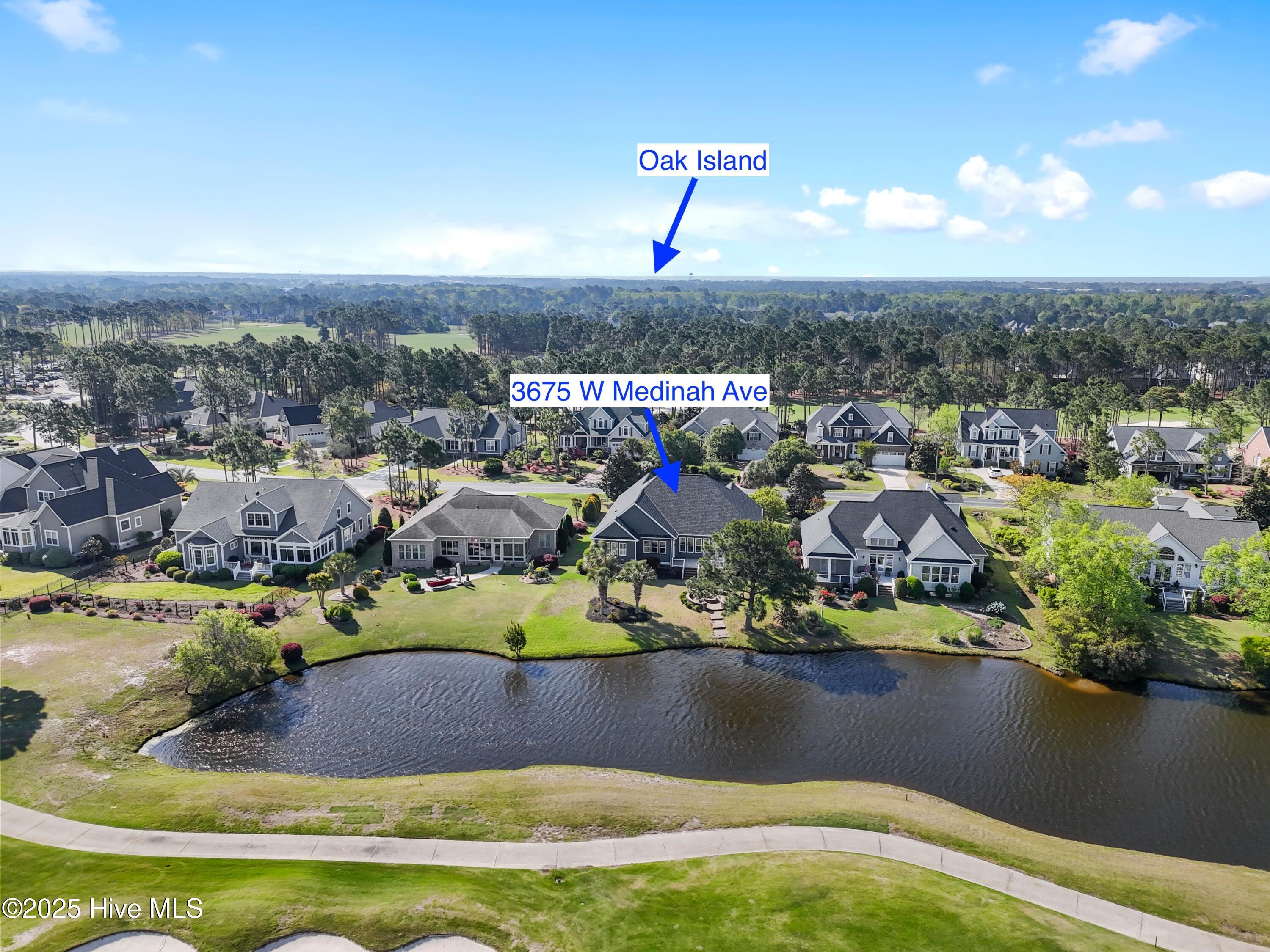 100504697 | Photo 47