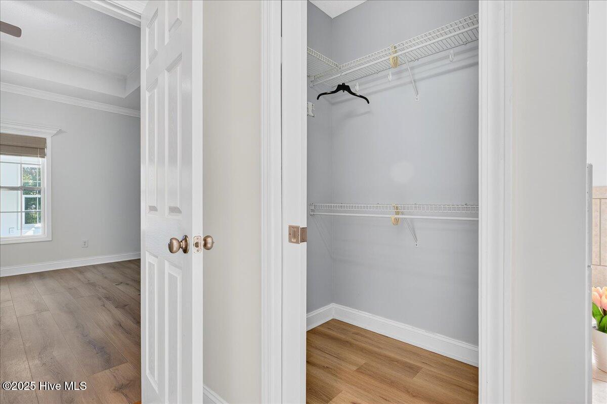 100539254 | Photo 30