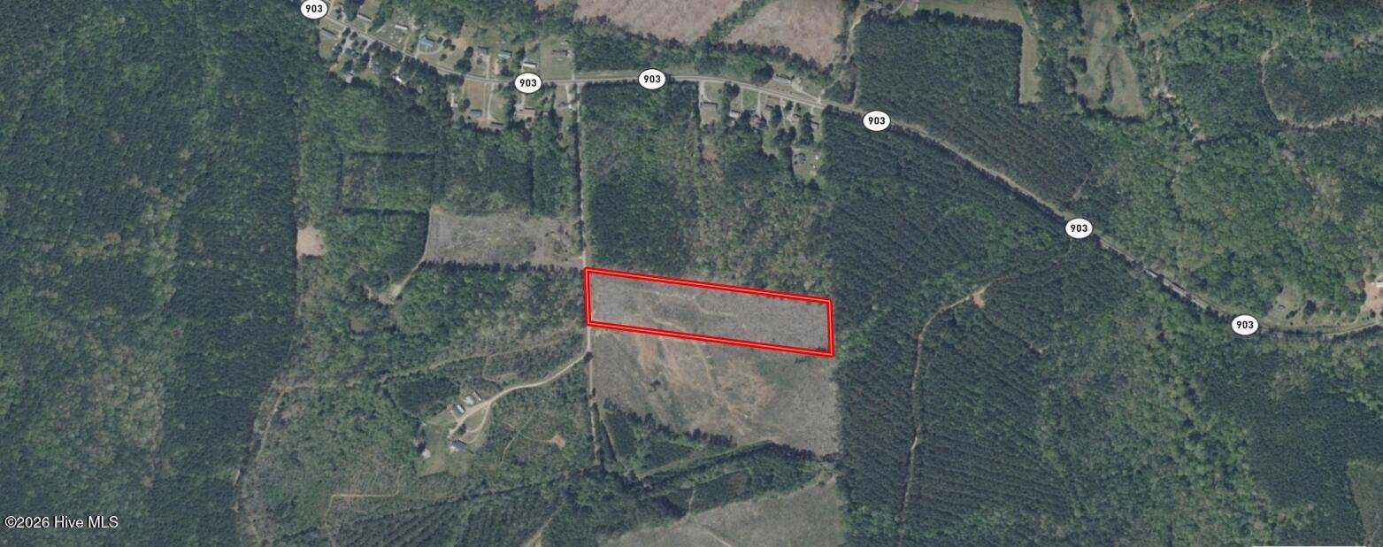 Homes for sale in Roanoke Rapids, NC | 0 Hwy 903, Roanoke Rapids, NC 27870 | MLS# 100553098