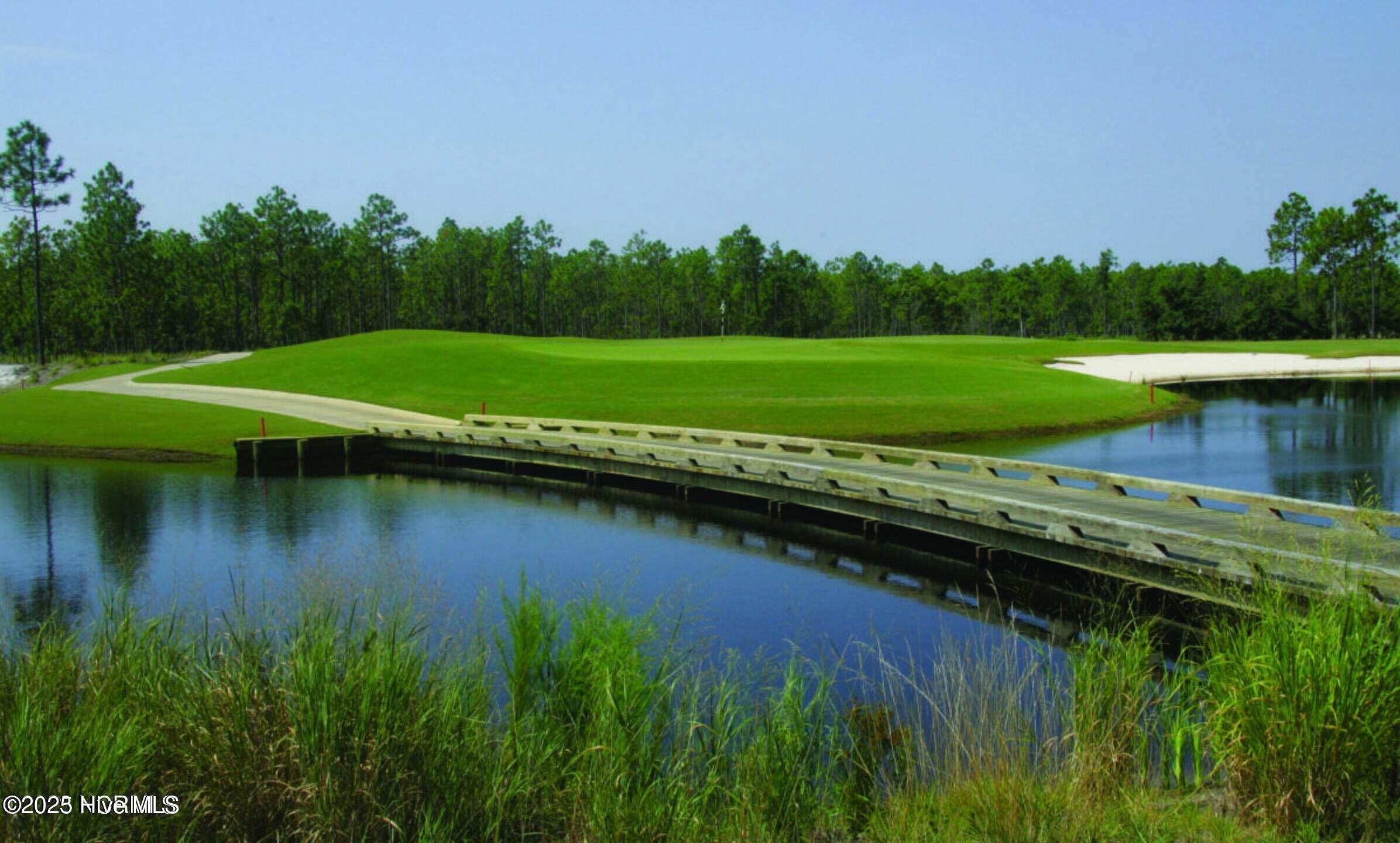 100498413 | Photo 83