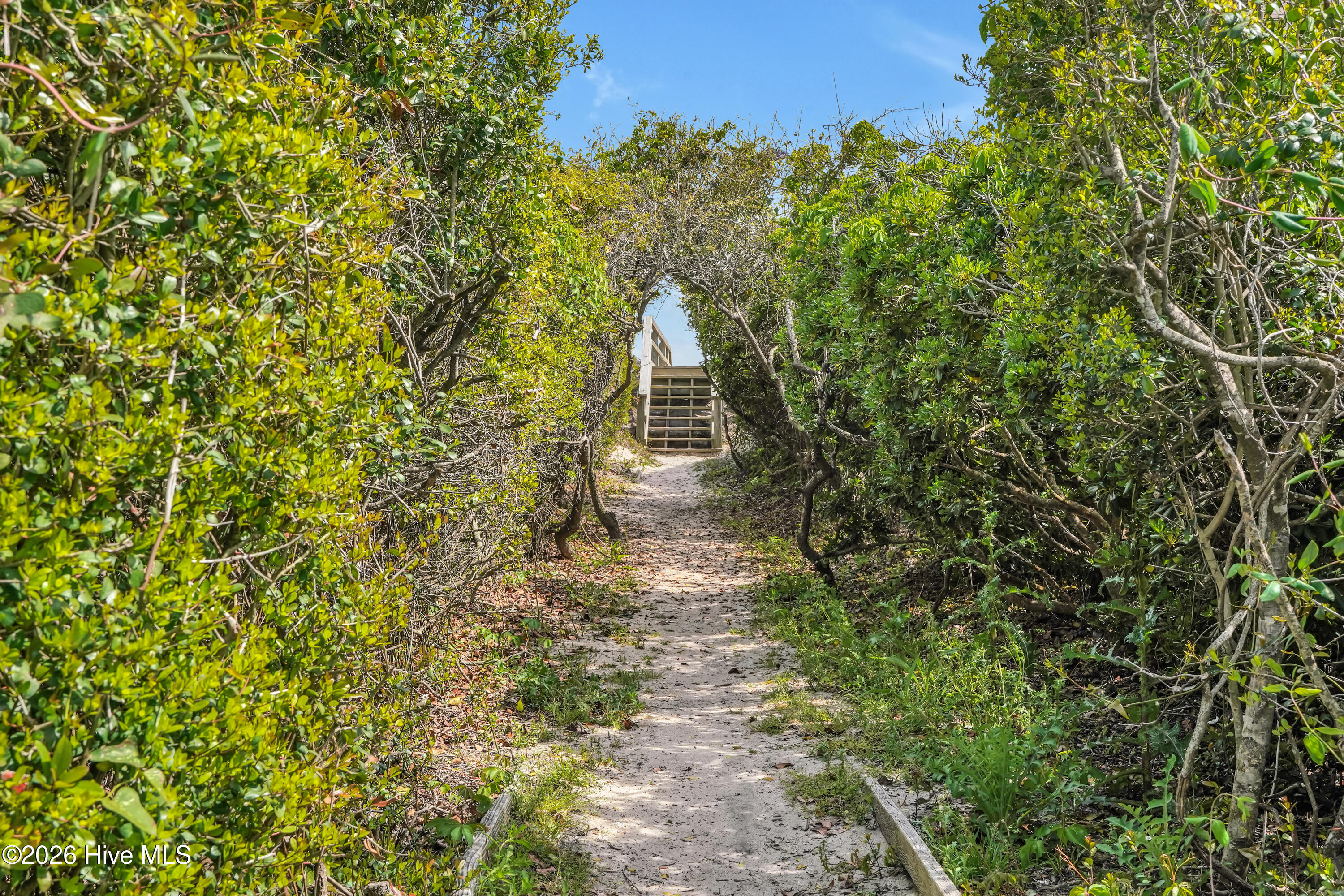 100566237 | Photo 53