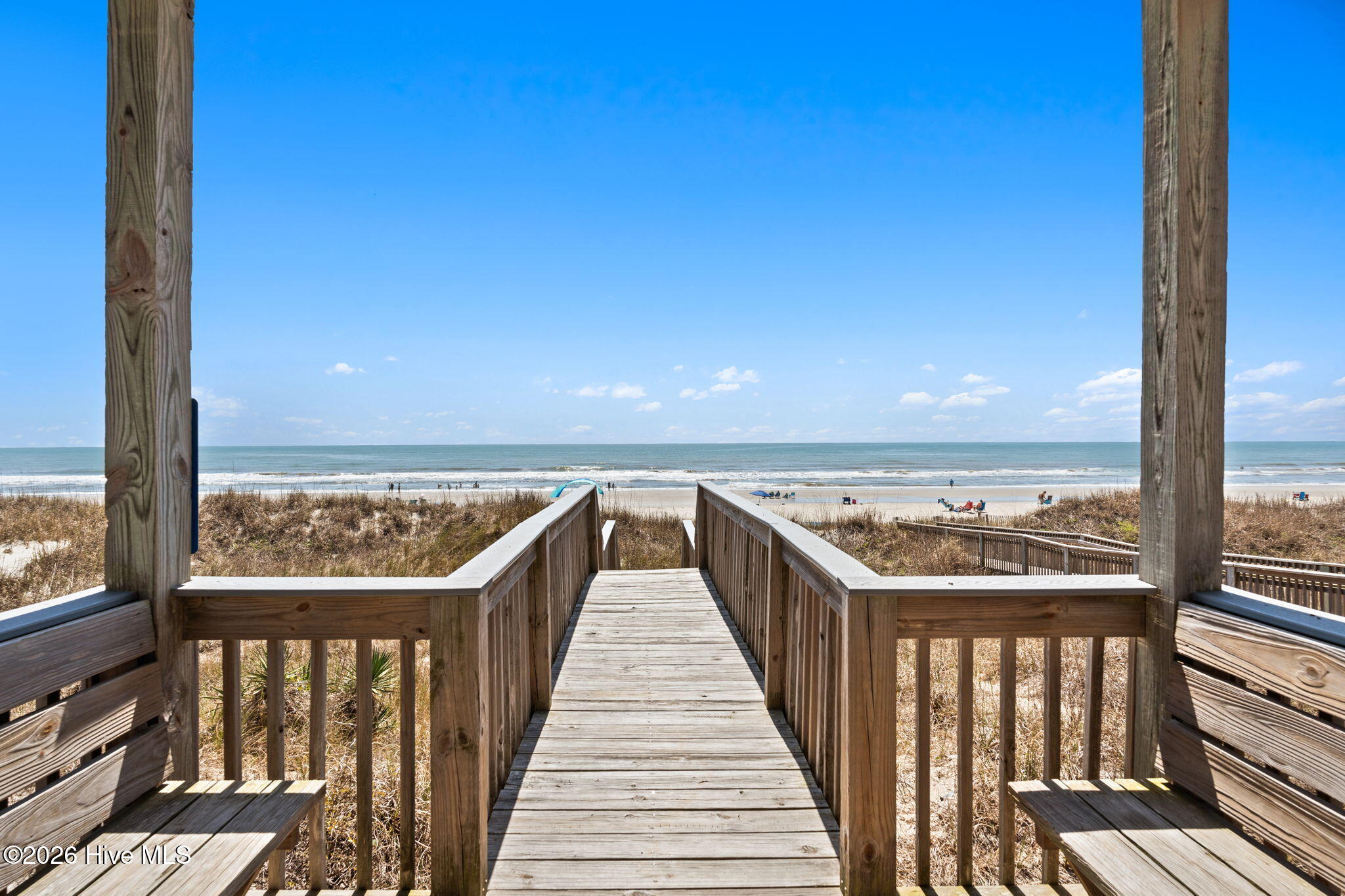 100564917 | Photo 17